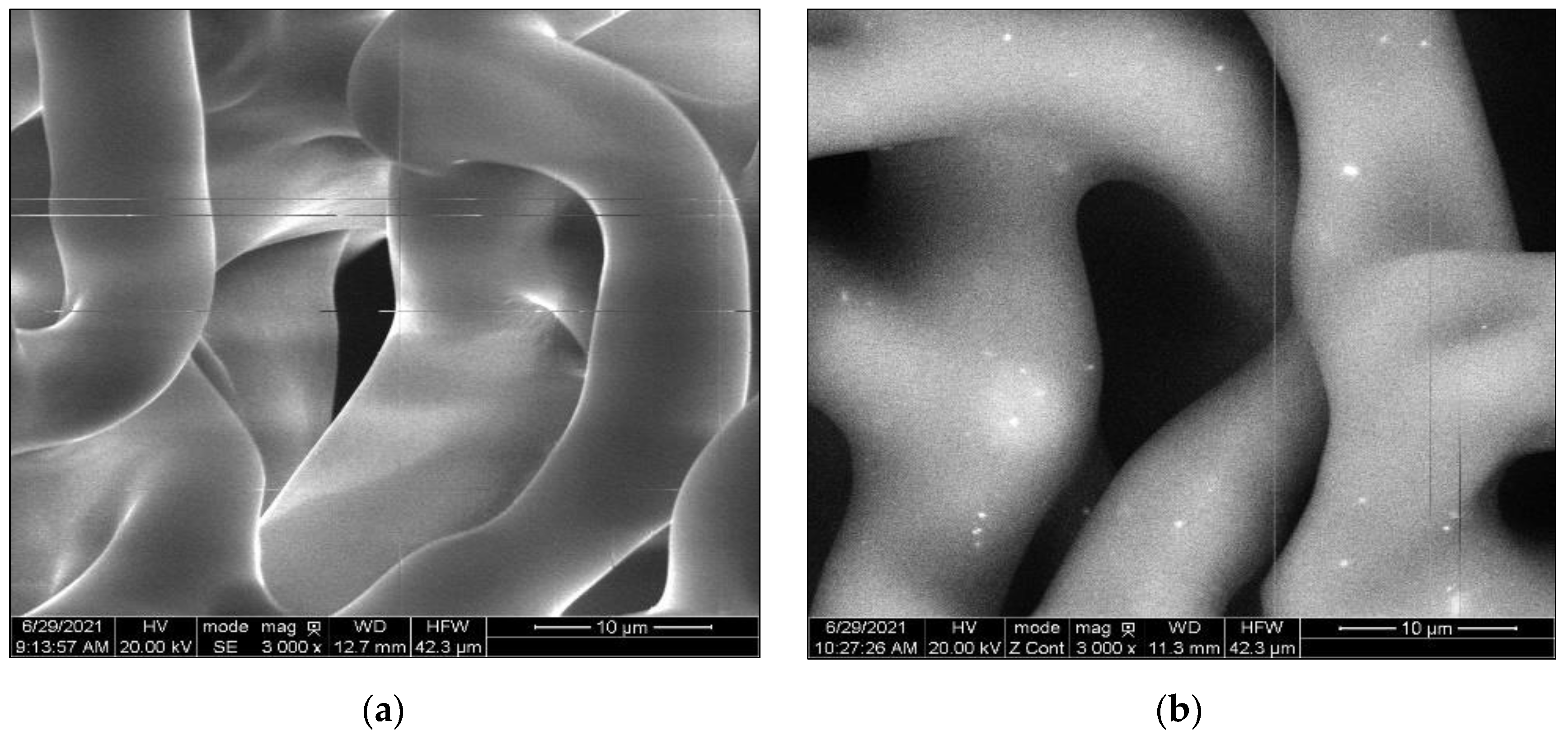 Polymers 14 05396 g002