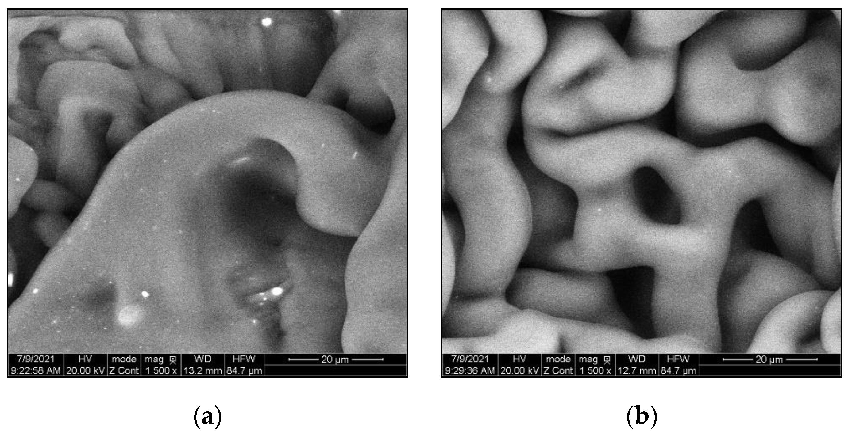 Polymers 14 05396 g014a