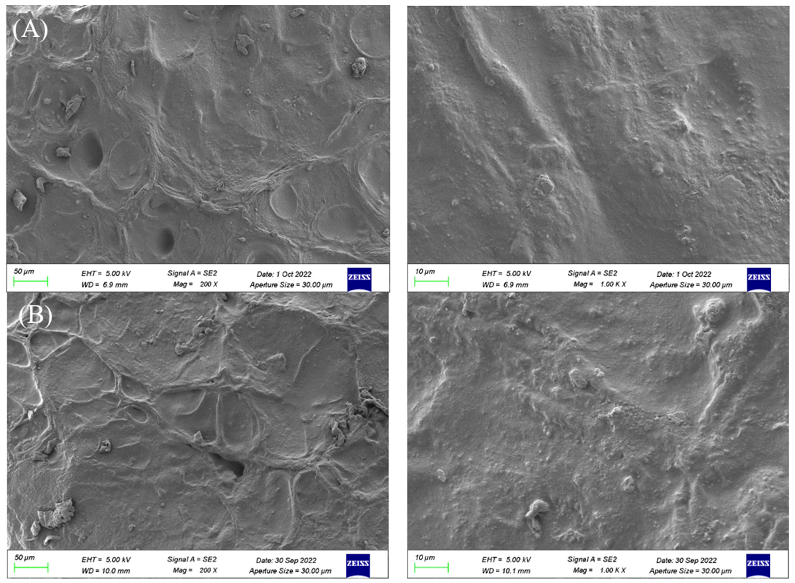 Polymers 14 05399 g003 Polymers 14 05399 g003