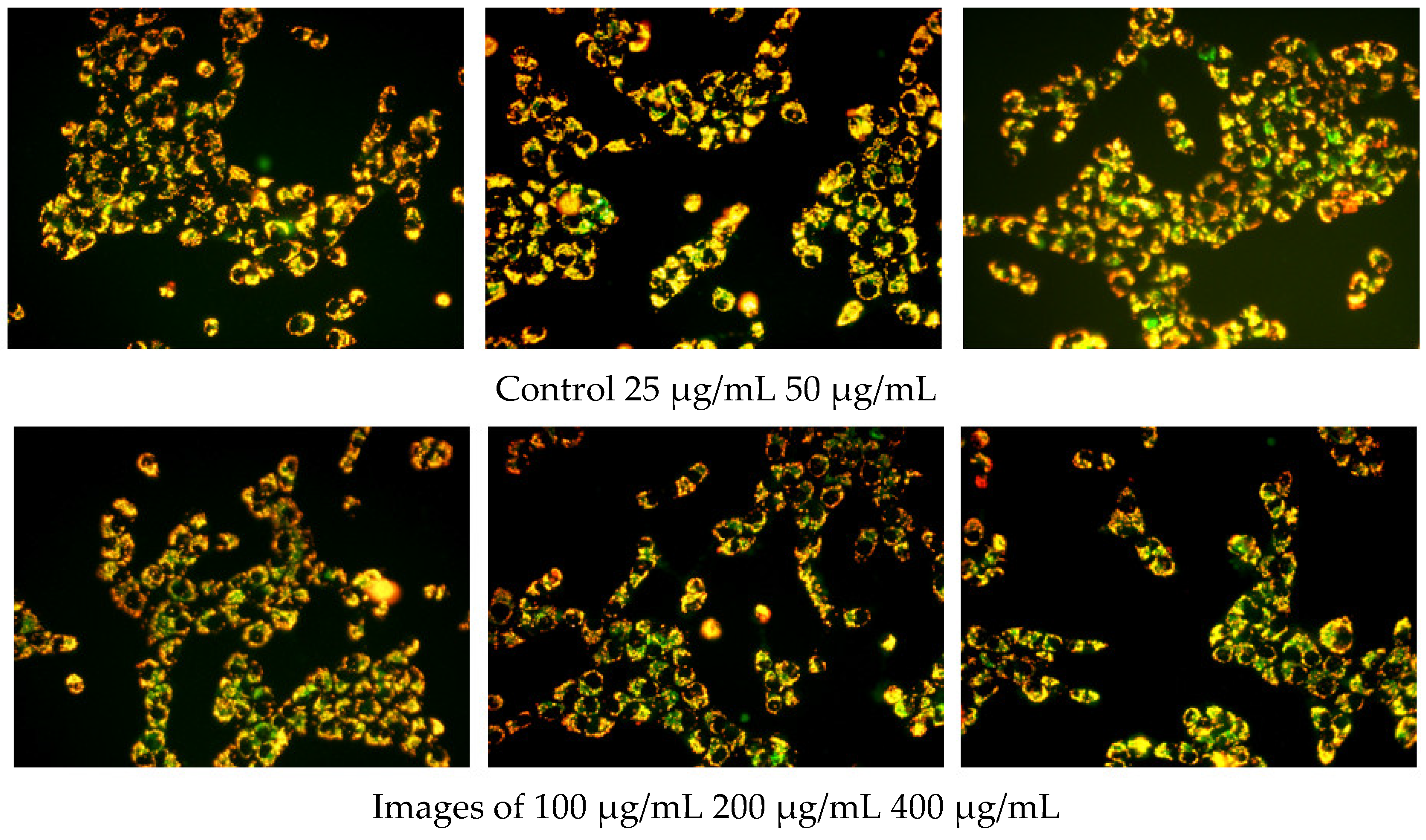 Polymers 14 05399 g008 Polymers 14 05399 g008