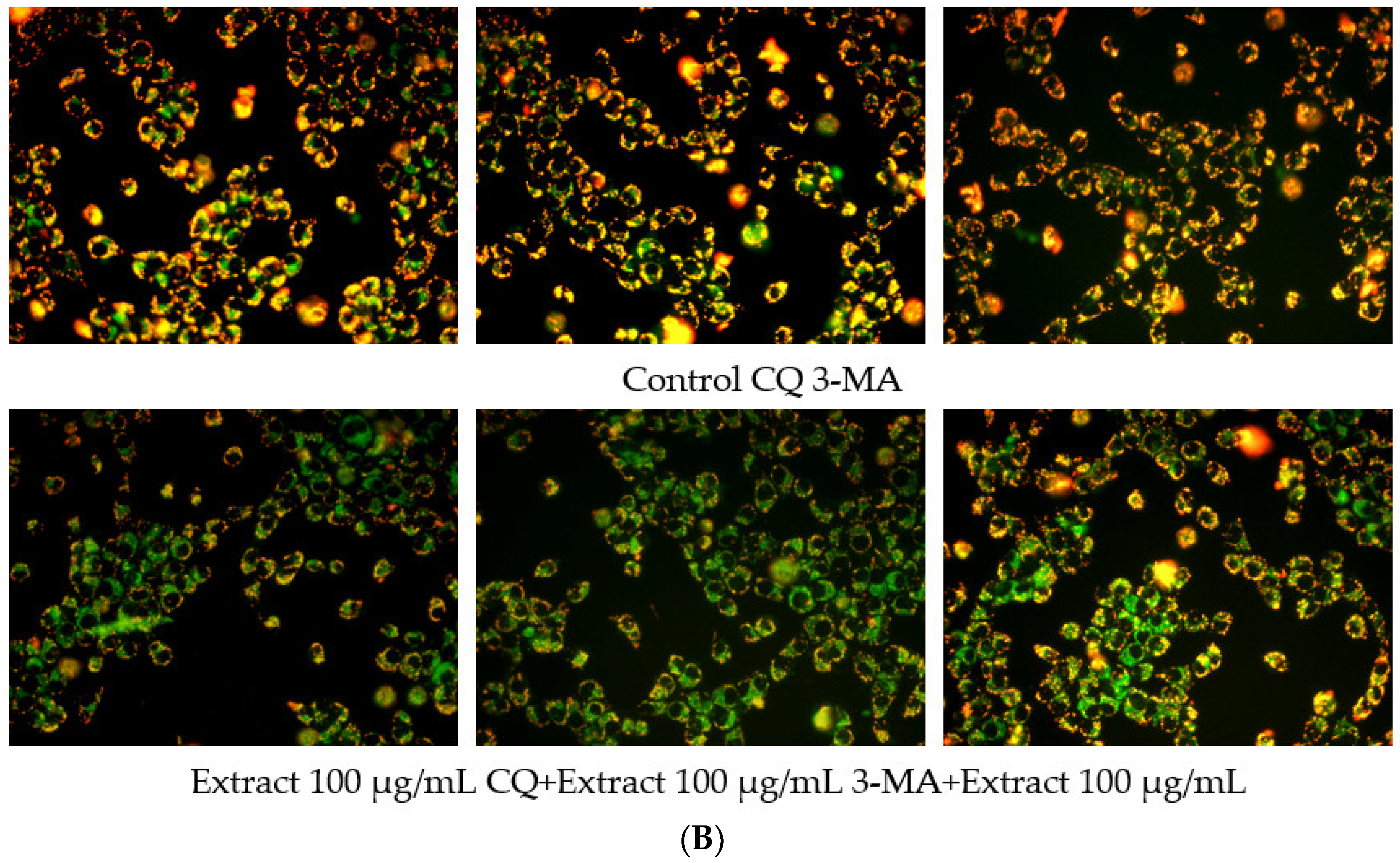 Polymers 14 05399 g009b Polymers 14 05399 g009b