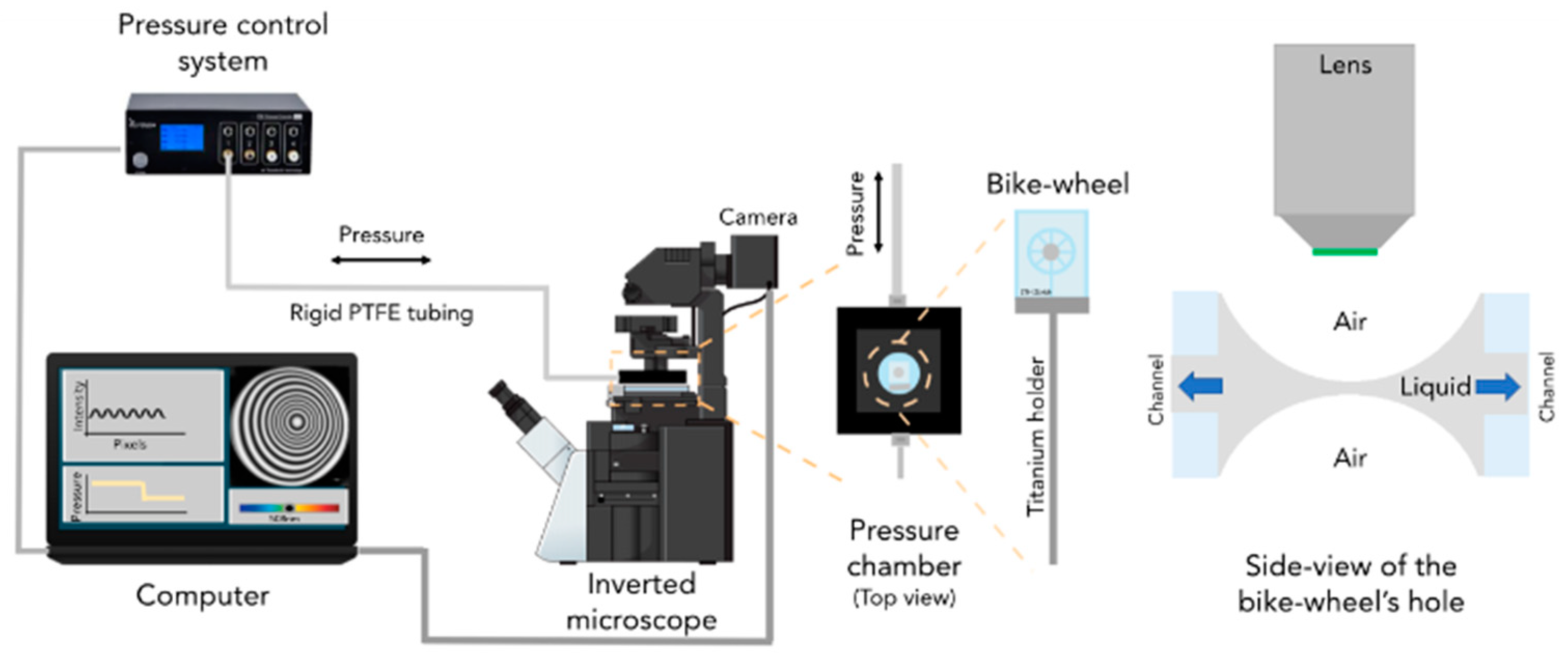 Polymers 14 05402 g001