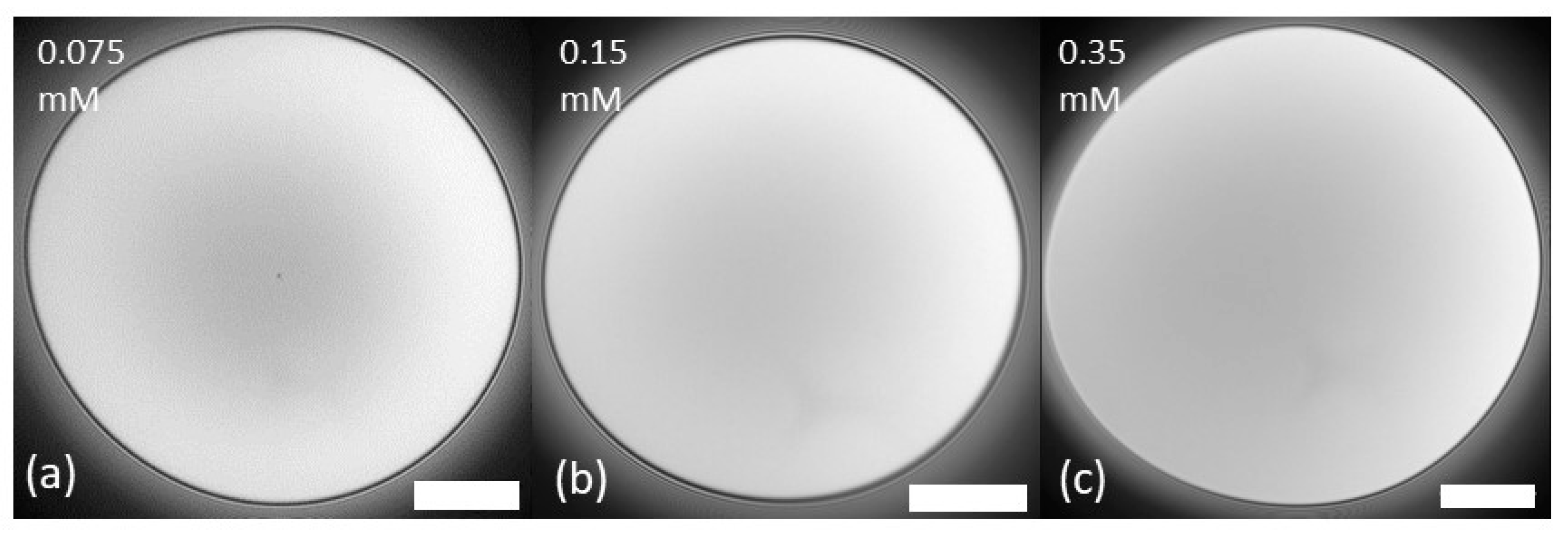 Polymers 14 05402 g002