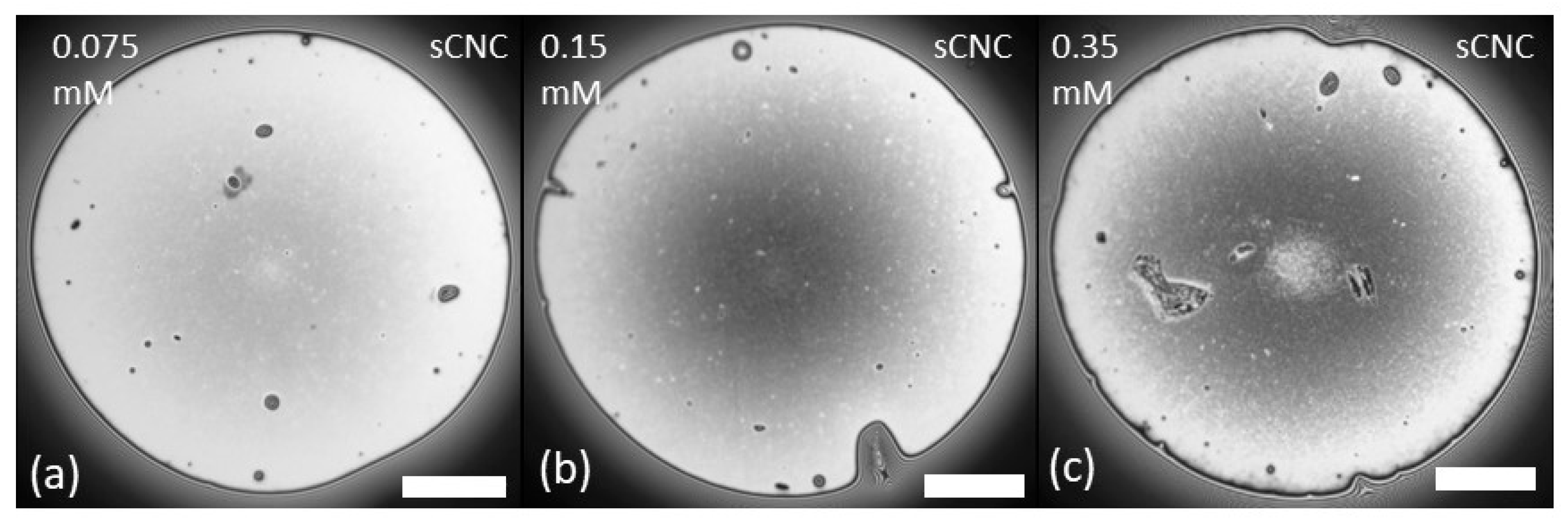 Polymers 14 05402 g003