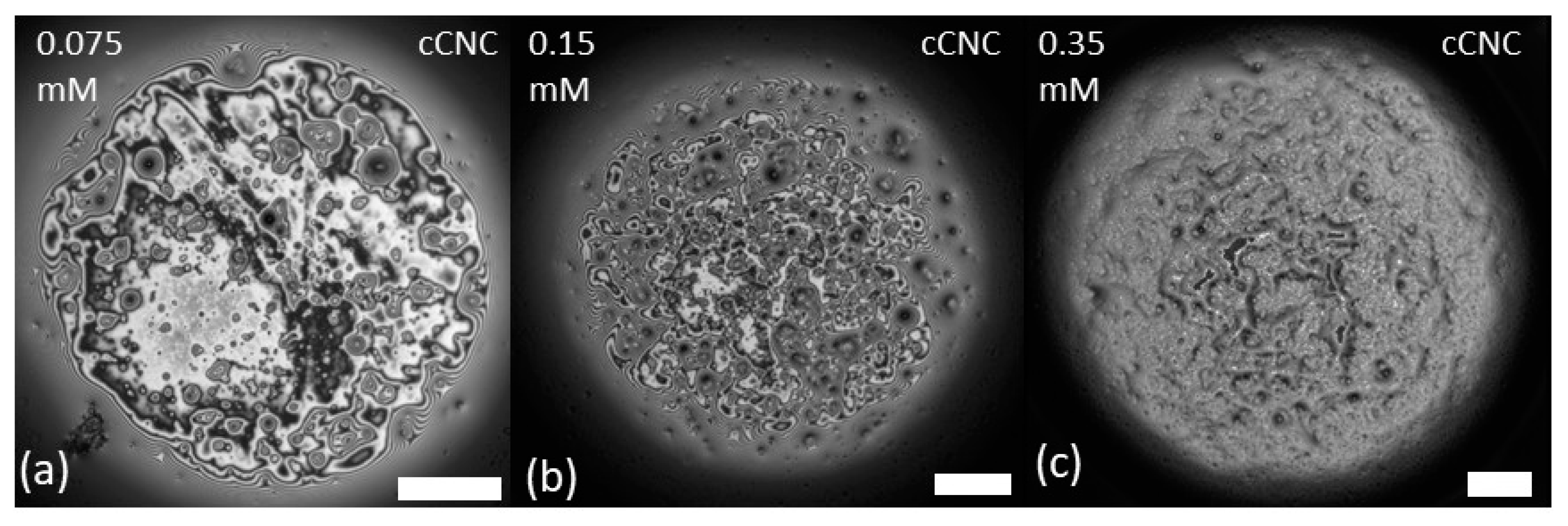 Polymers 14 05402 g004