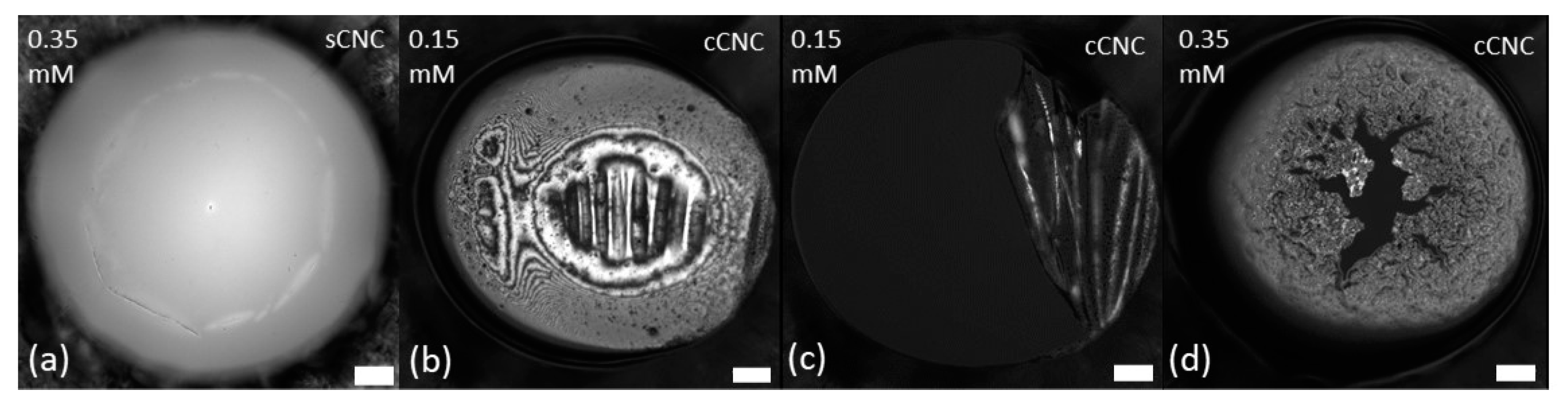 Polymers 14 05402 g005