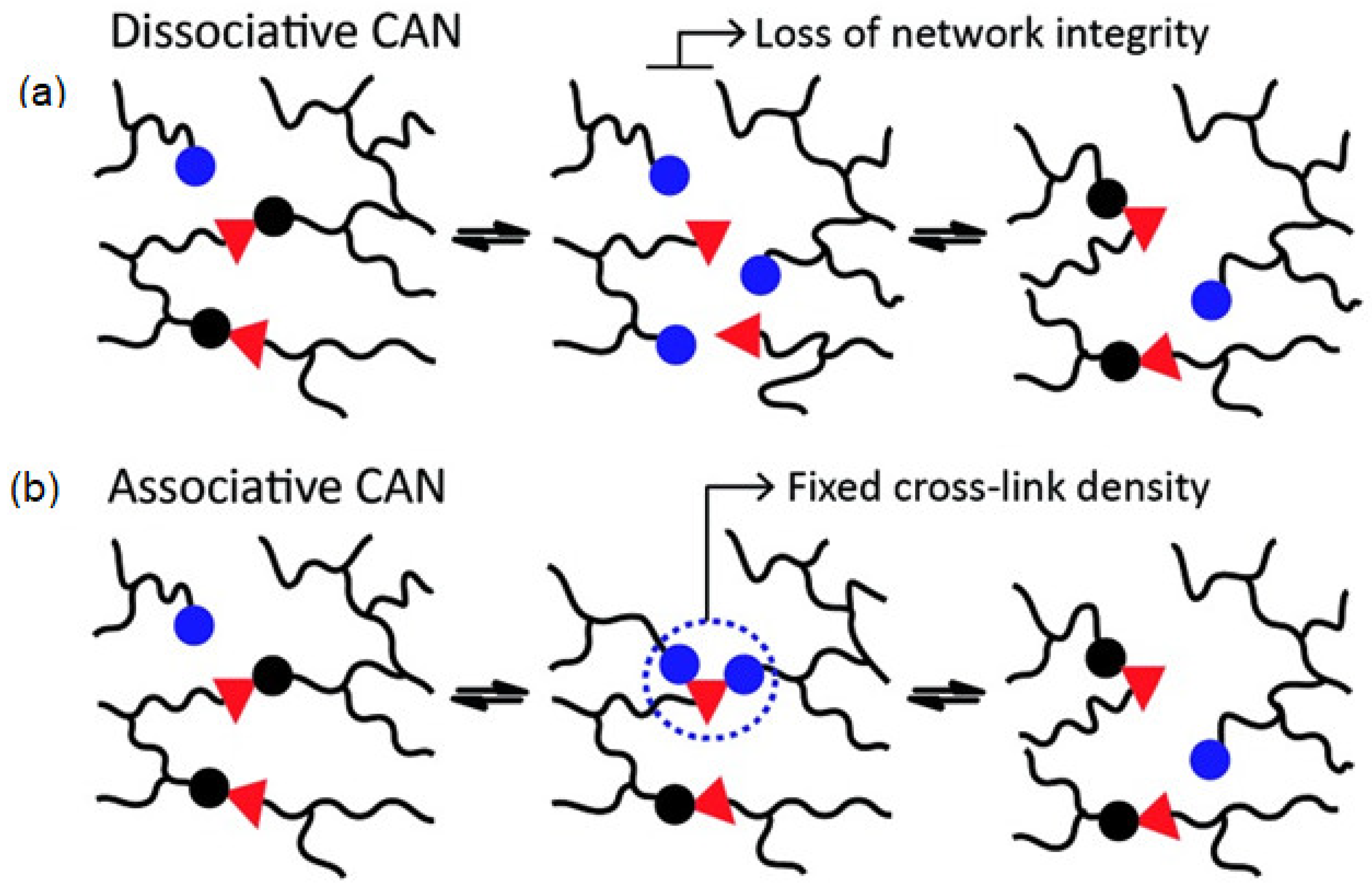 Polymers 14 05404 g002