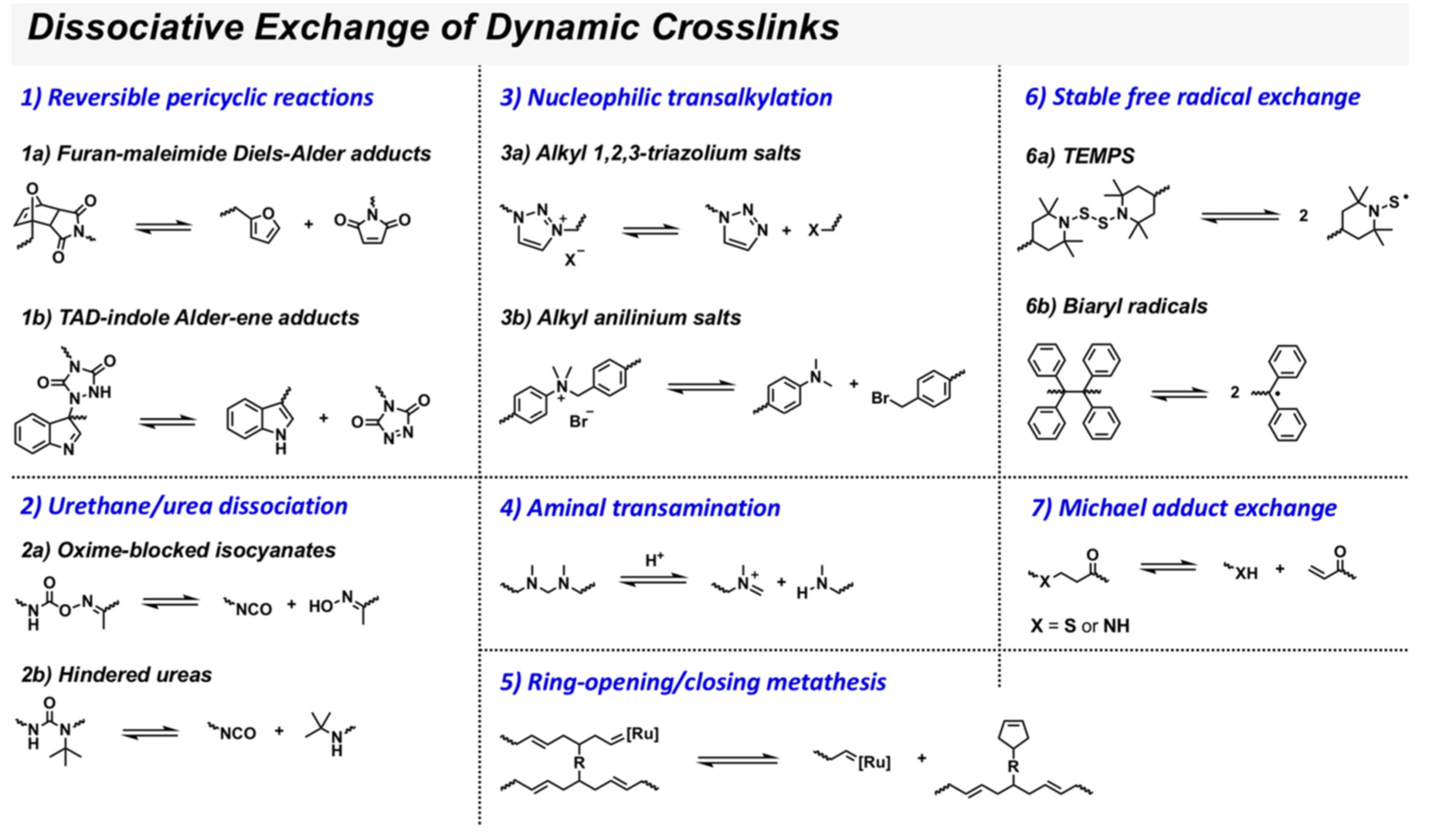 Polymers 14 05404 g003
