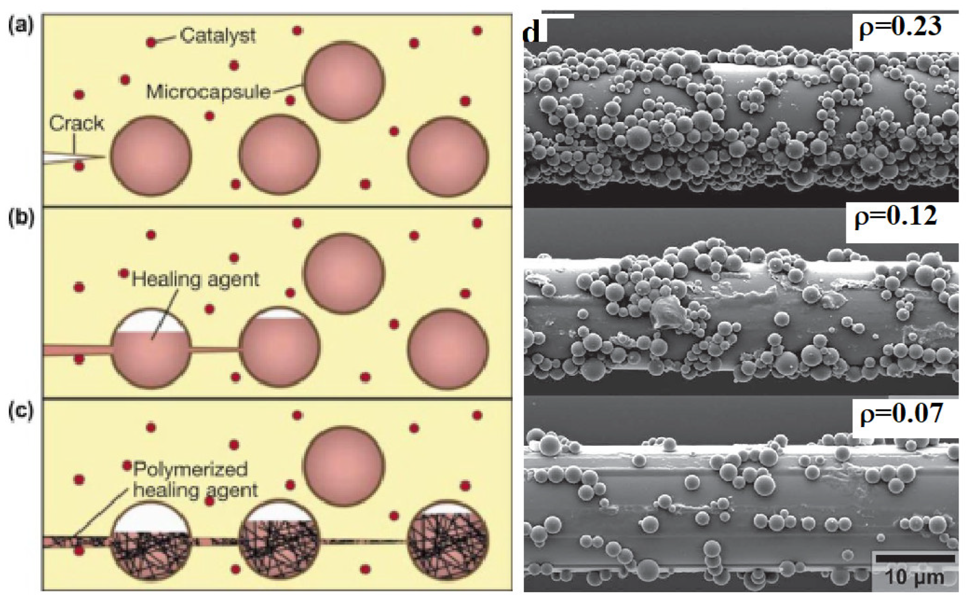 Polymers 14 05404 g010