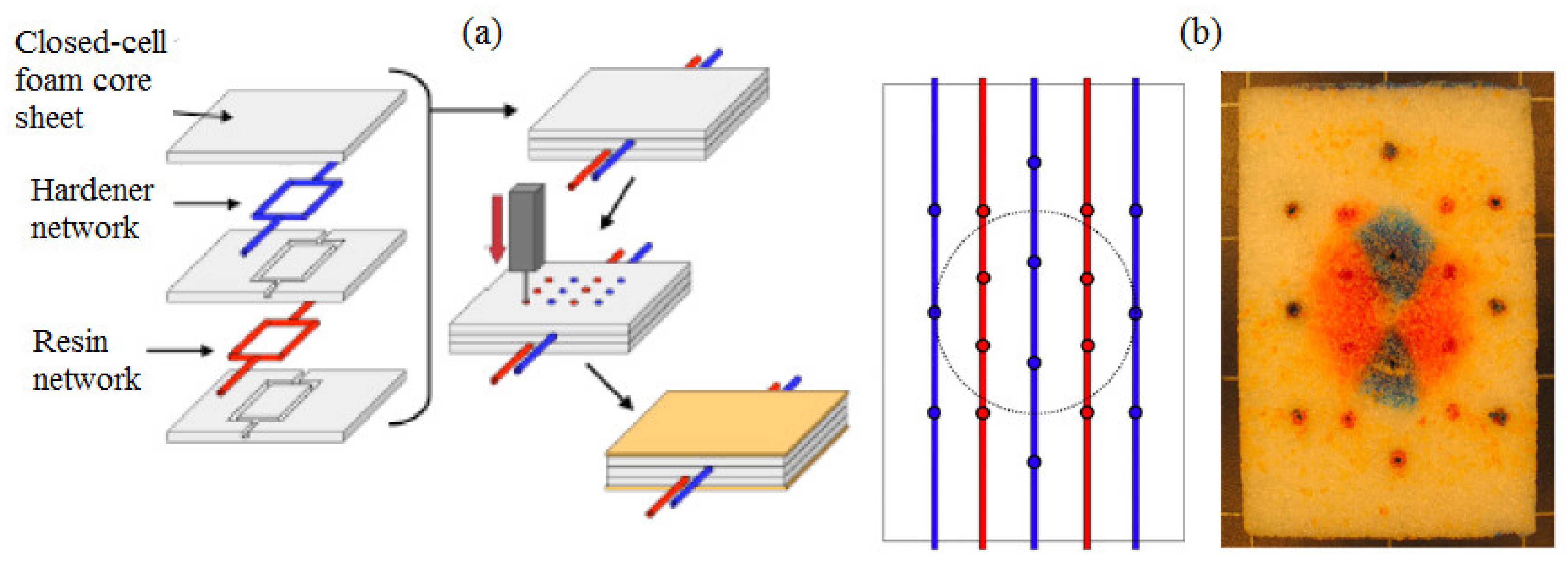 Polymers 14 05404 g014