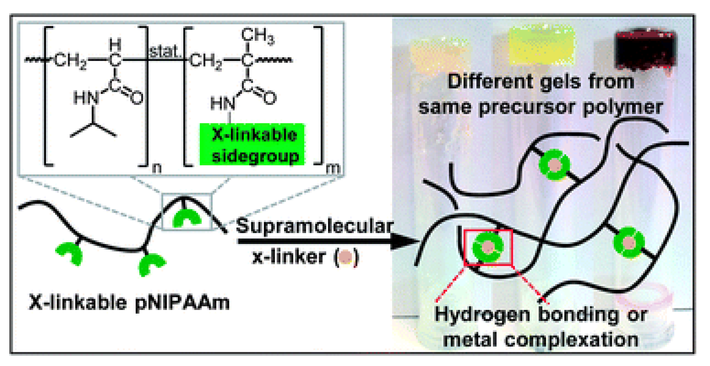 Polymers 14 05404 g015