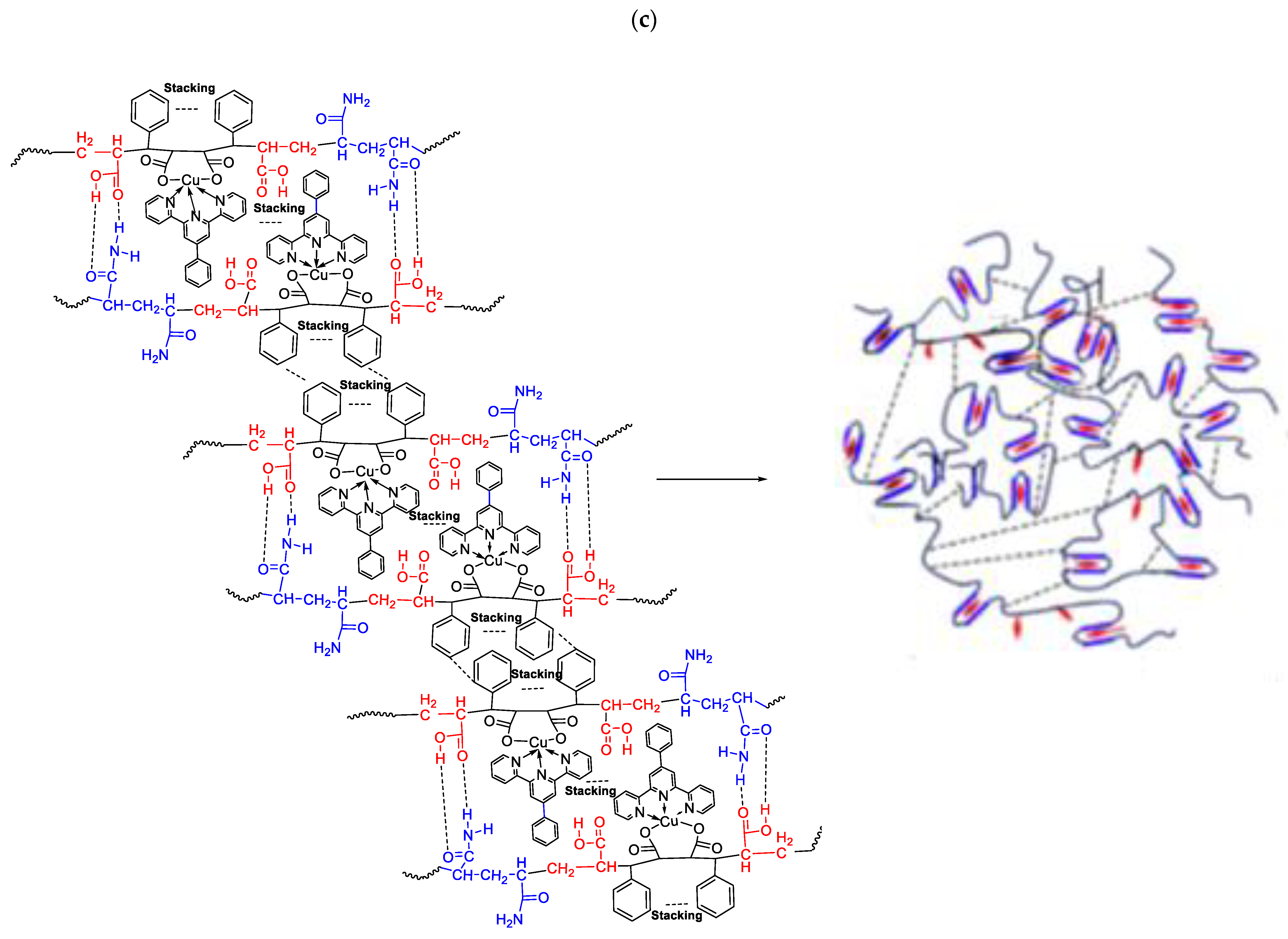Polymers 14 05404 g018b