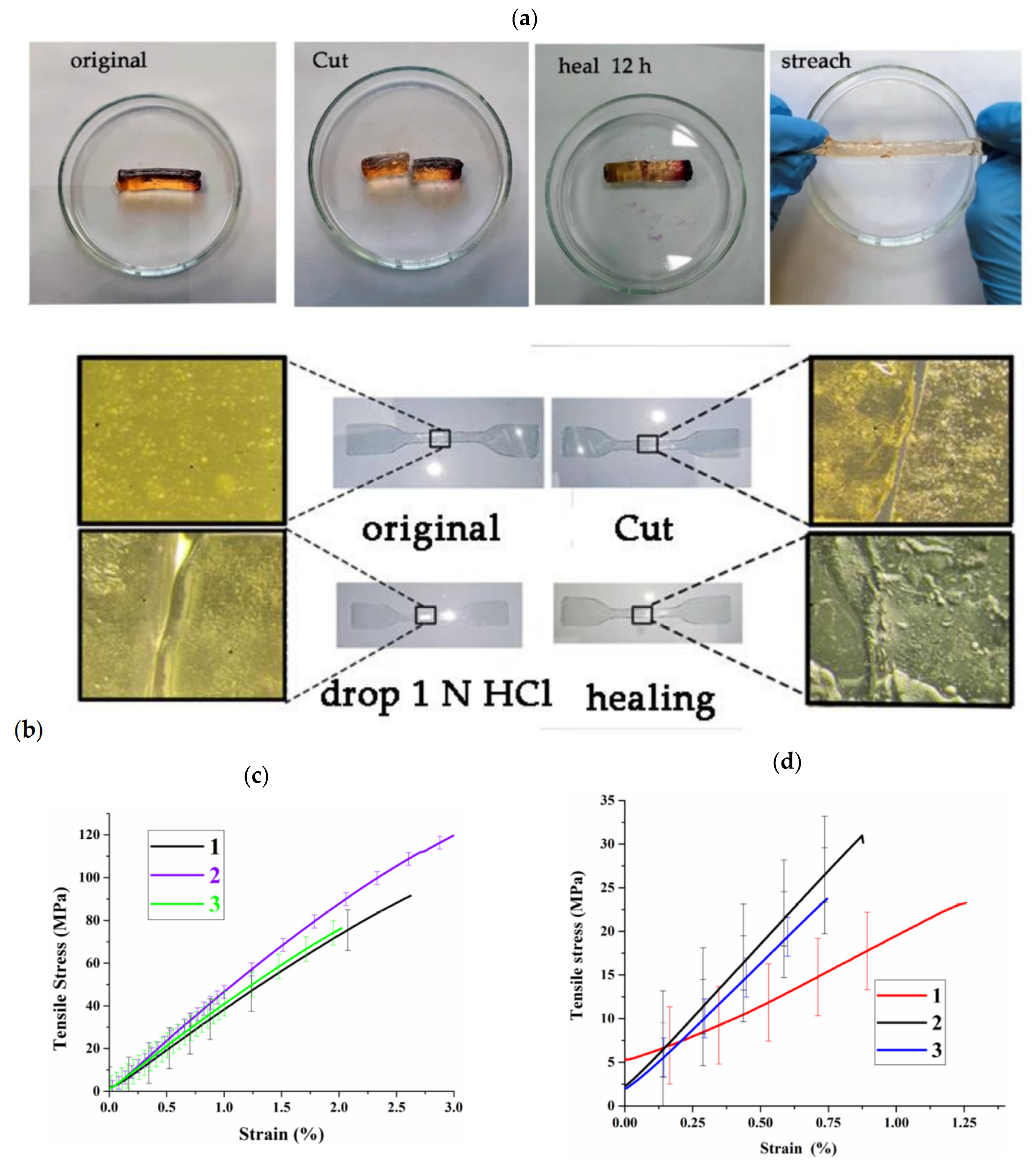 Polymers 14 05404 g019