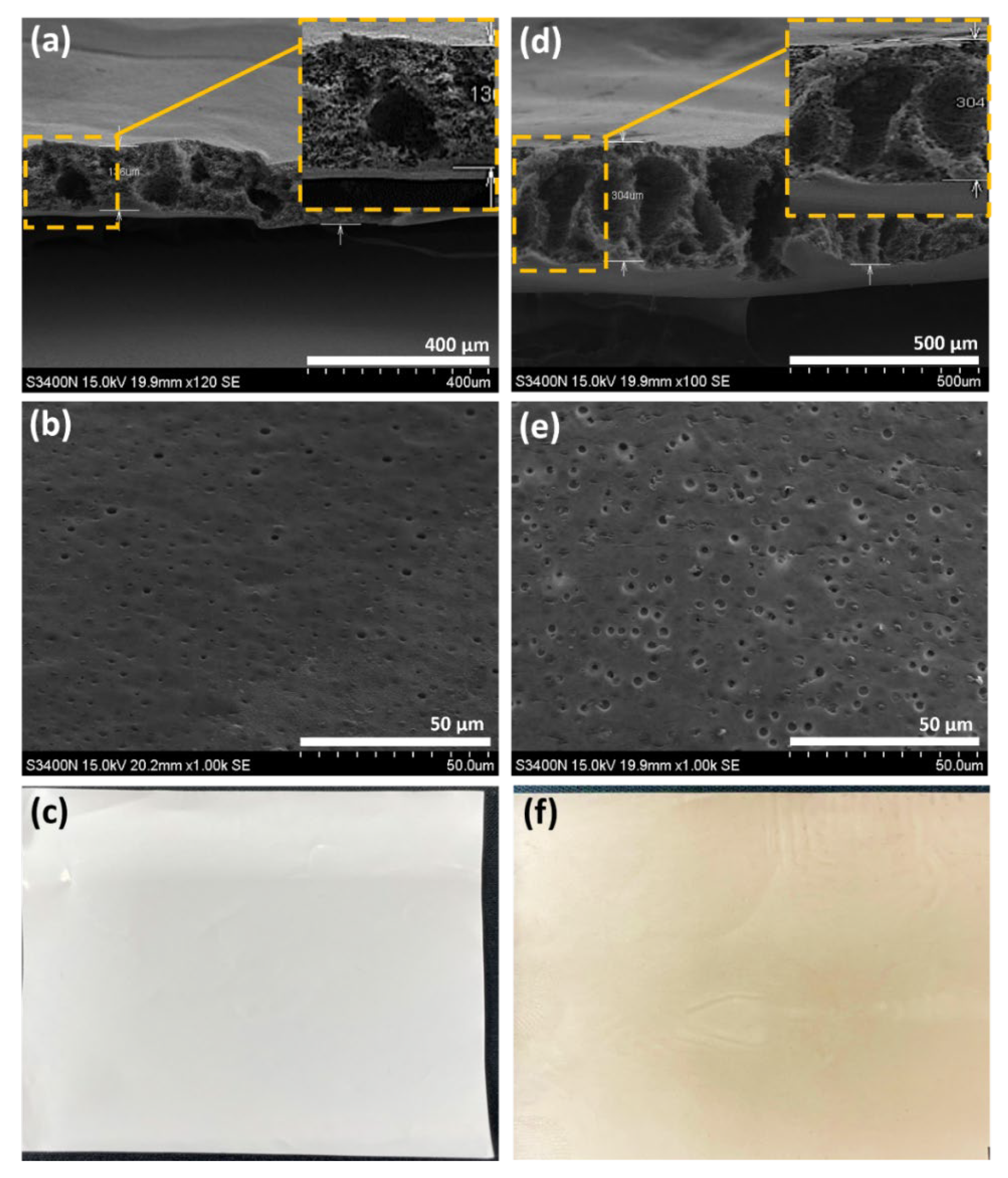 Polymers 14 05405 g003 Polymers 14 05405 g003