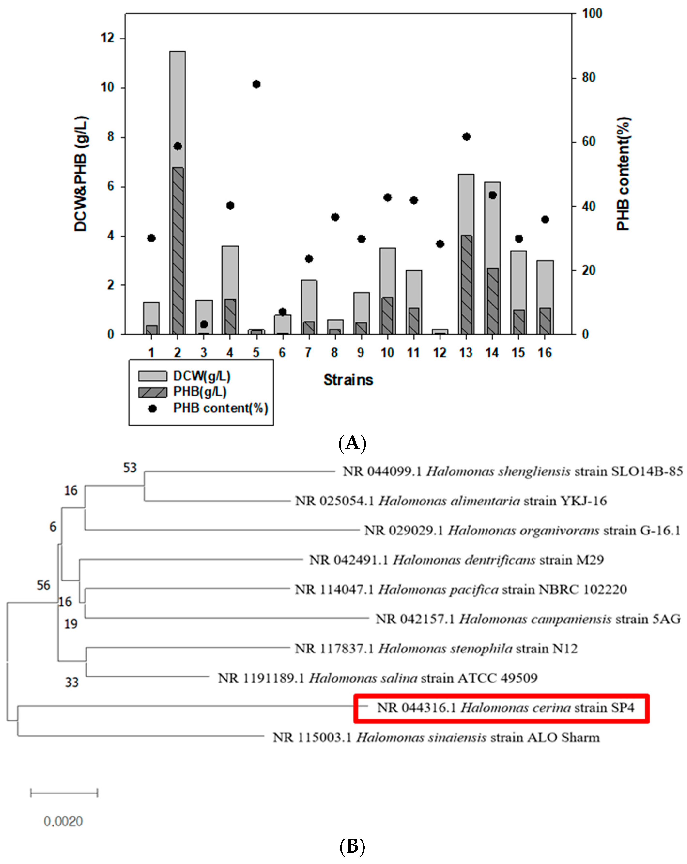 Polymers 14 05407 g001a Polymers 14 05407 g001a