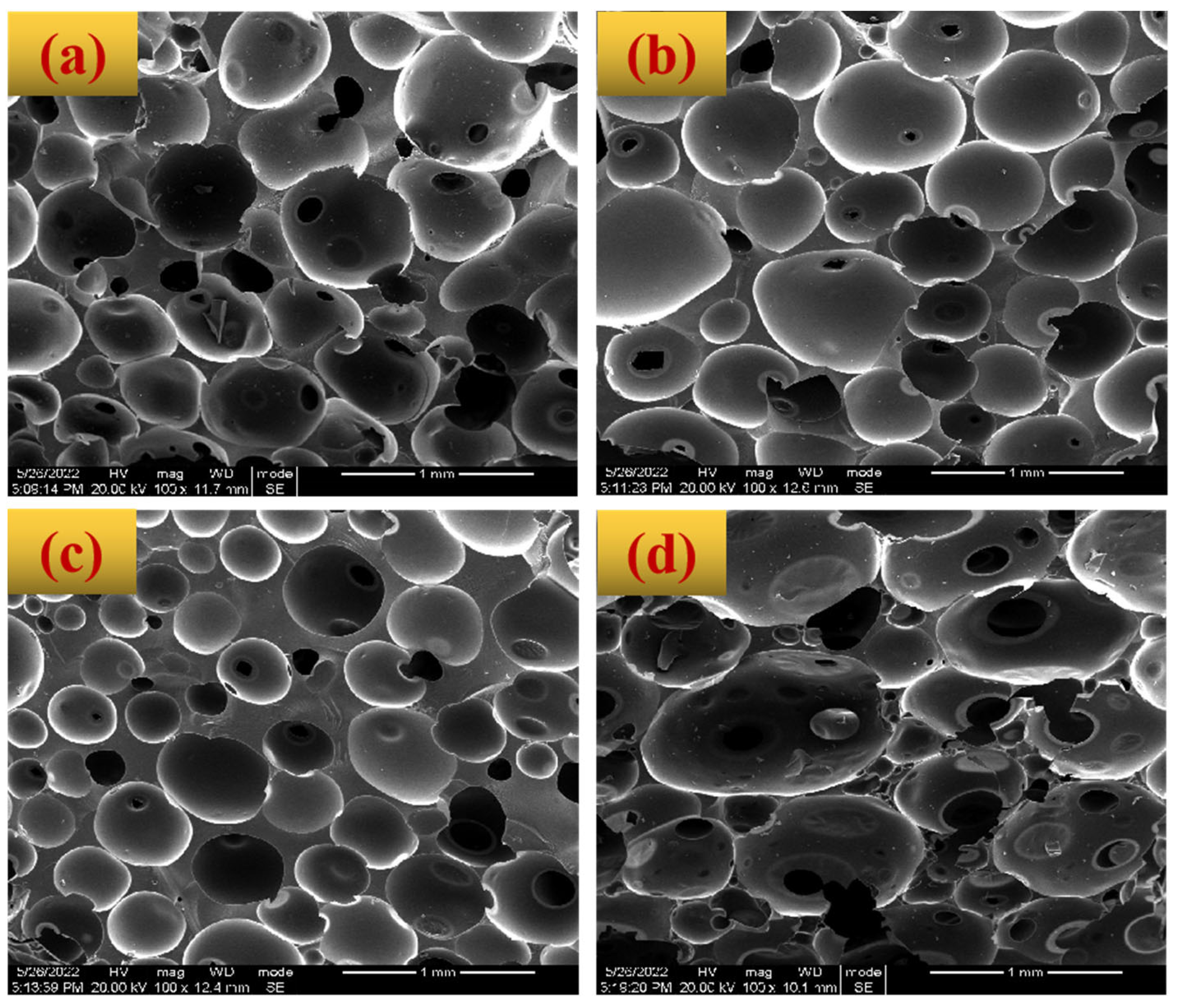 Polymers 14 05410 g005 Polymers 14 05410 g005