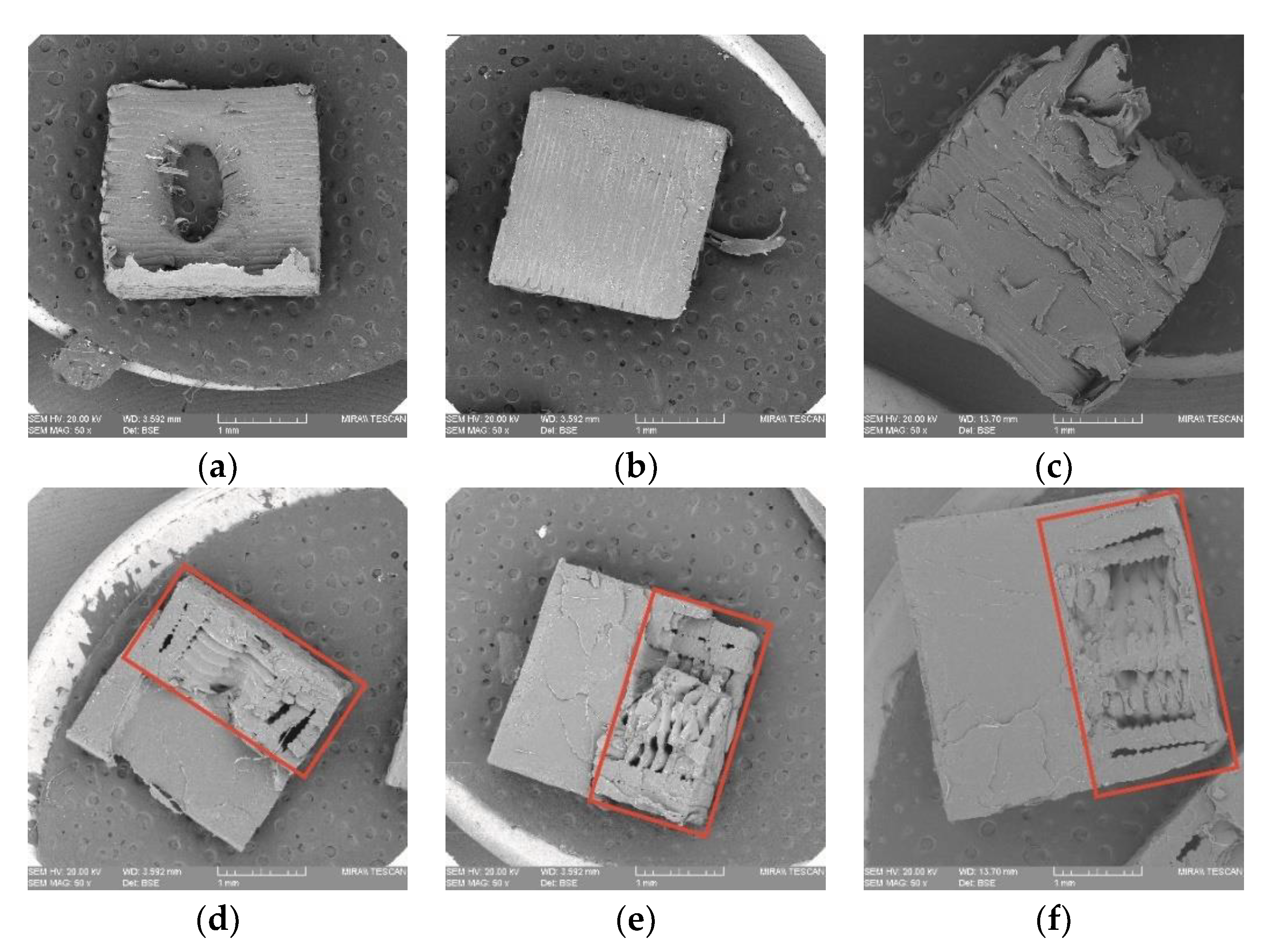 Polymers 14 05413 g008