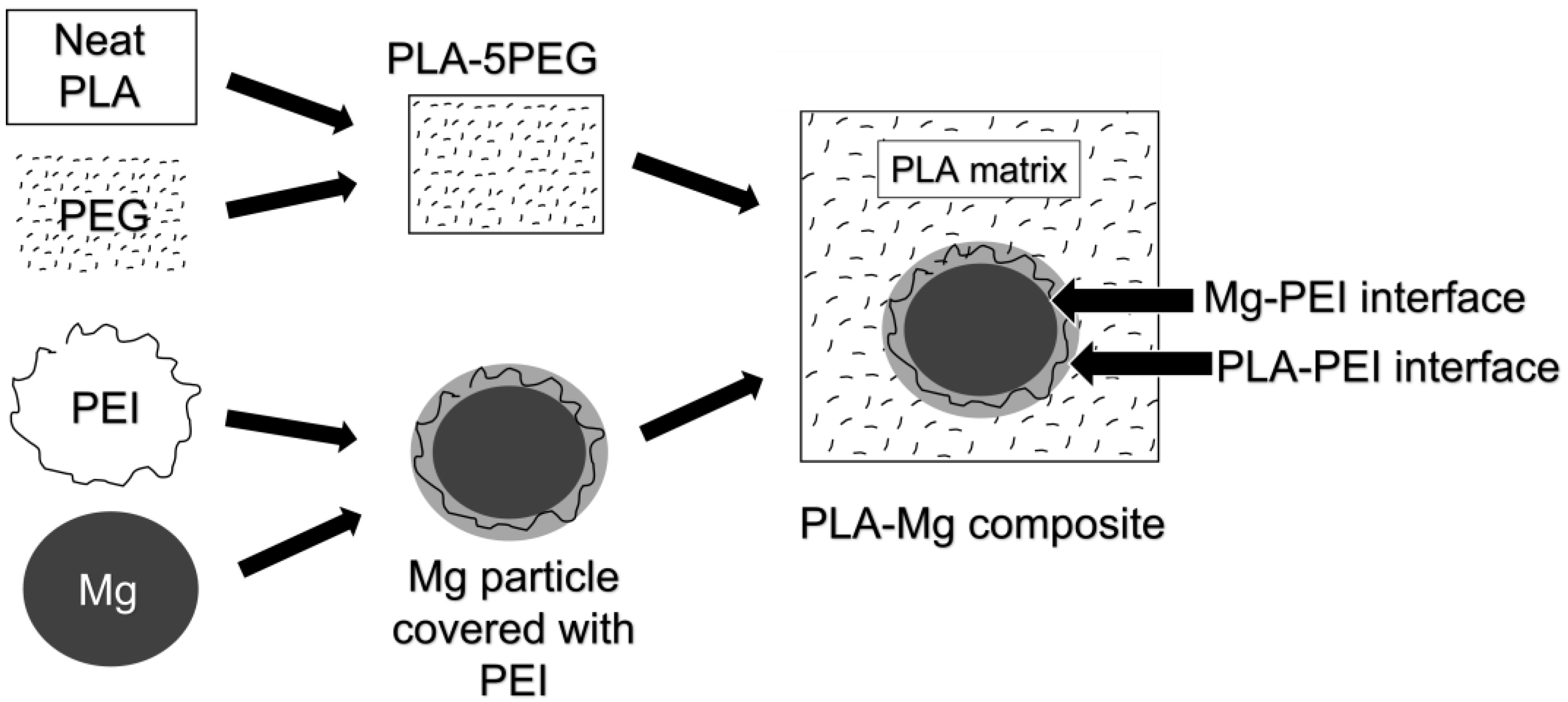 Polymers 14 05414 g001
