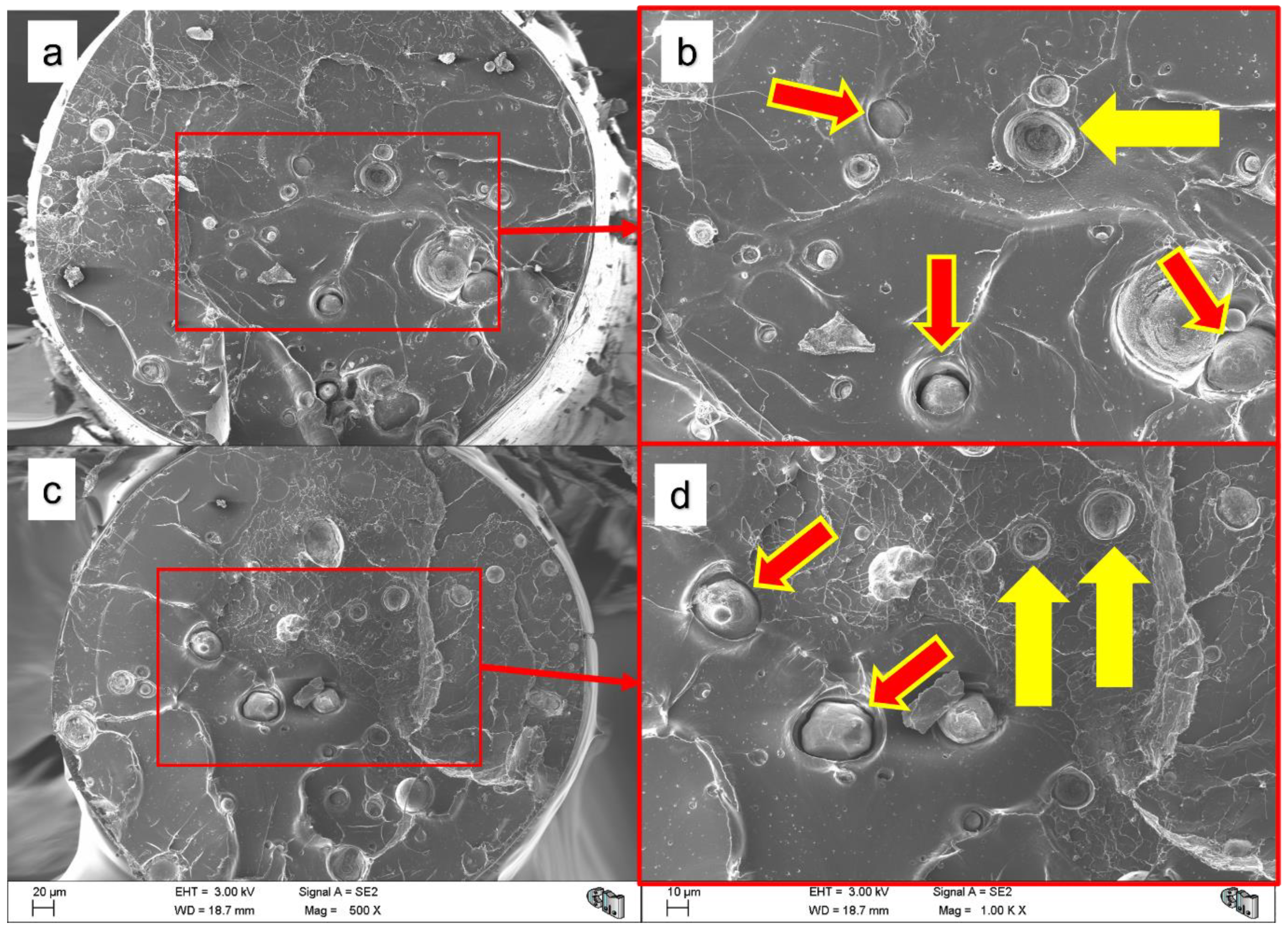 Polymers 14 05414 g012