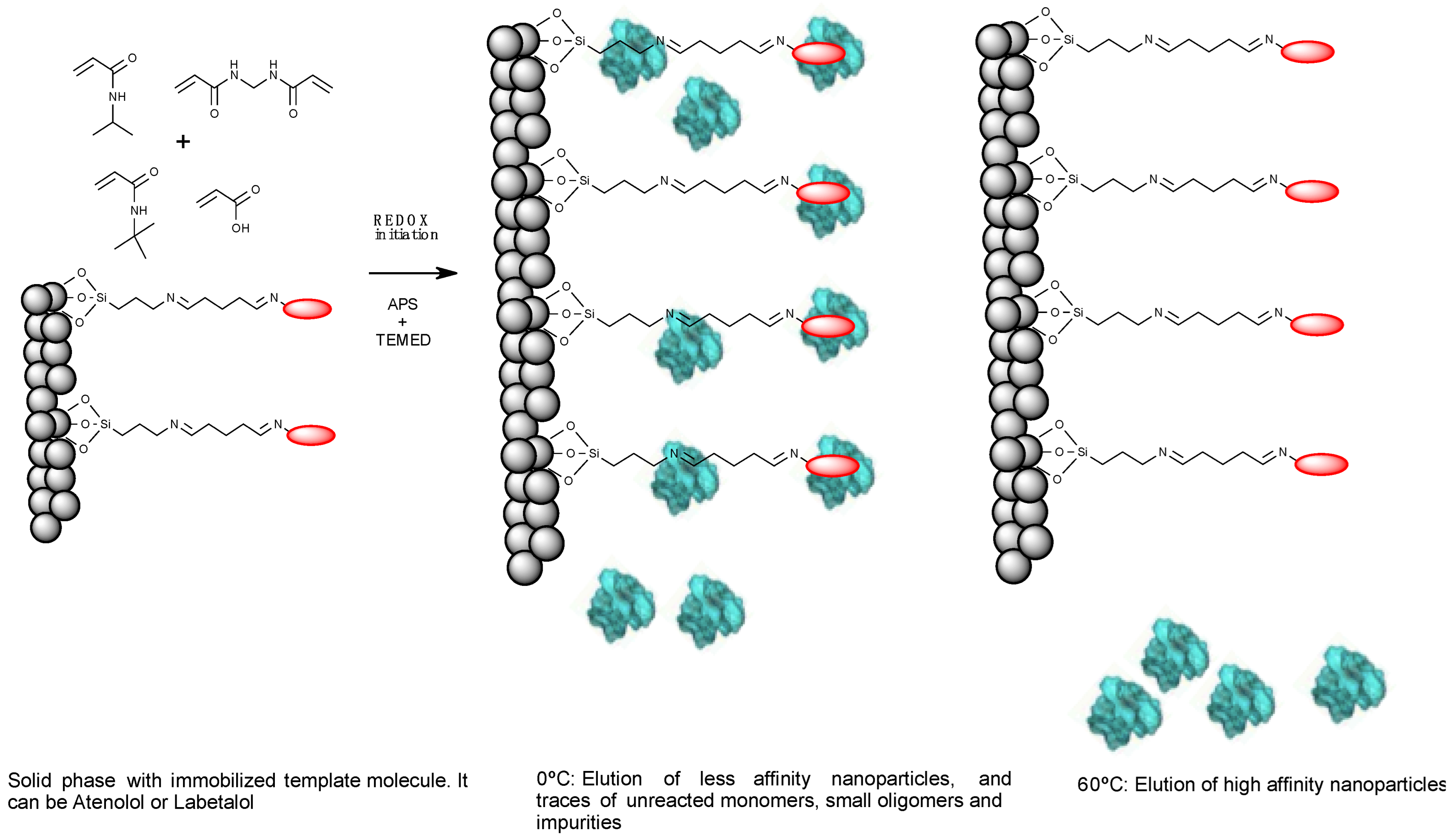 Polymers 14 05420 g001 Polymers 14 05420 g001