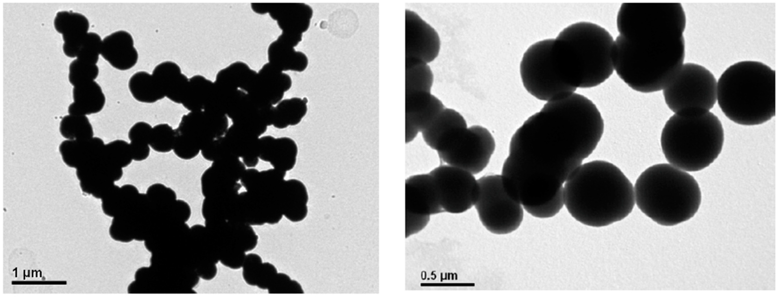 Polymers 14 05420 g003a Polymers 14 05420 g003a