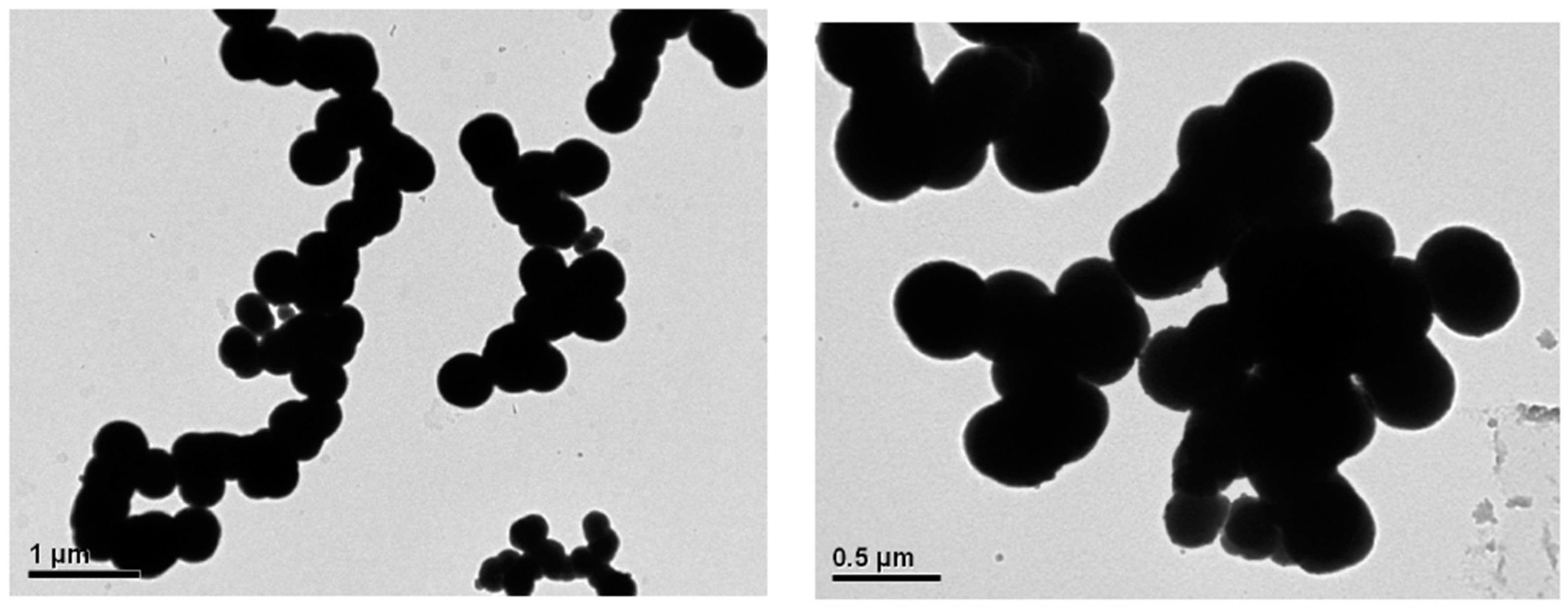 Polymers 14 05420 g003b Polymers 14 05420 g003b