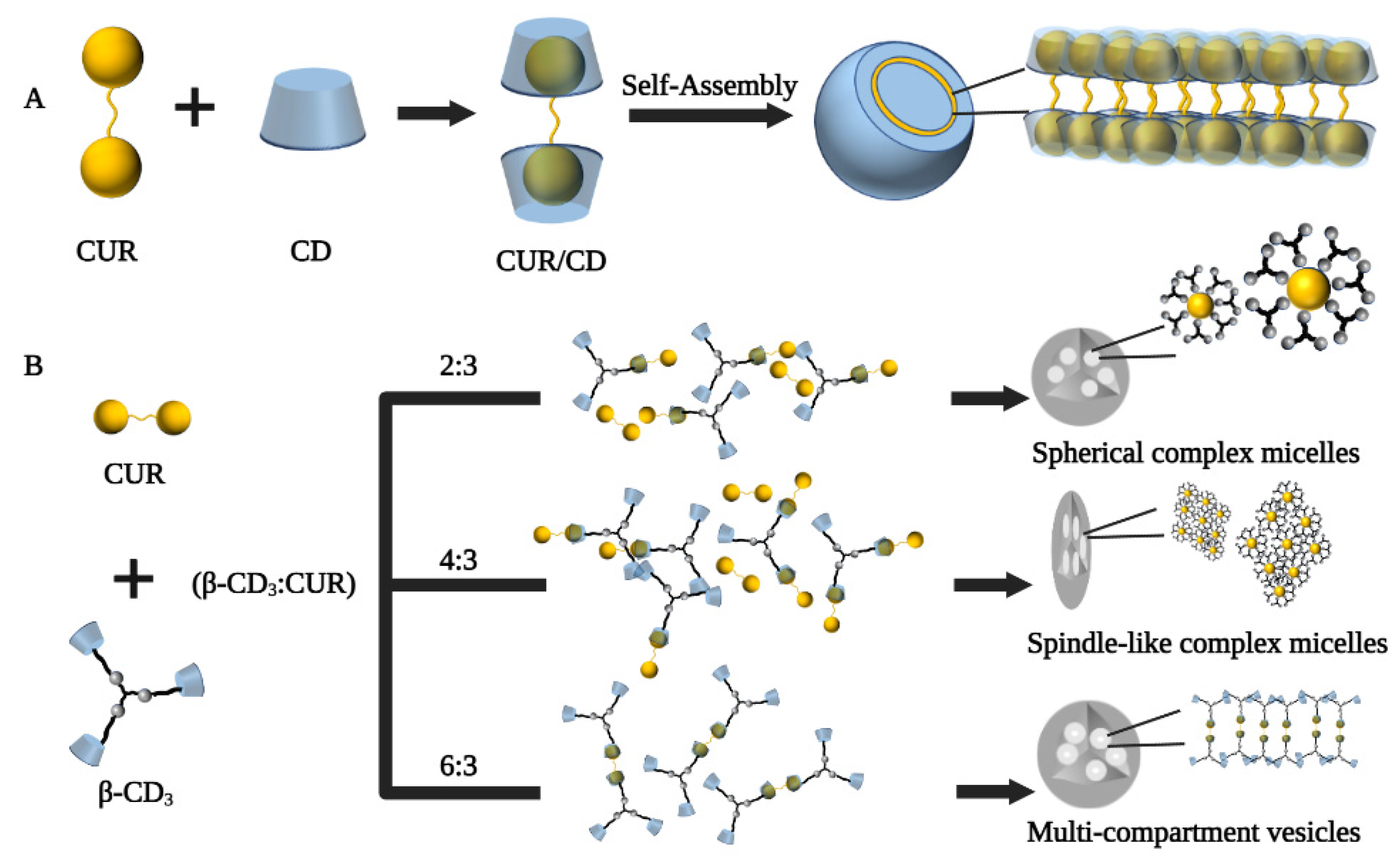 Polymers 14 05421 g003 Polymers 14 05421 g003
