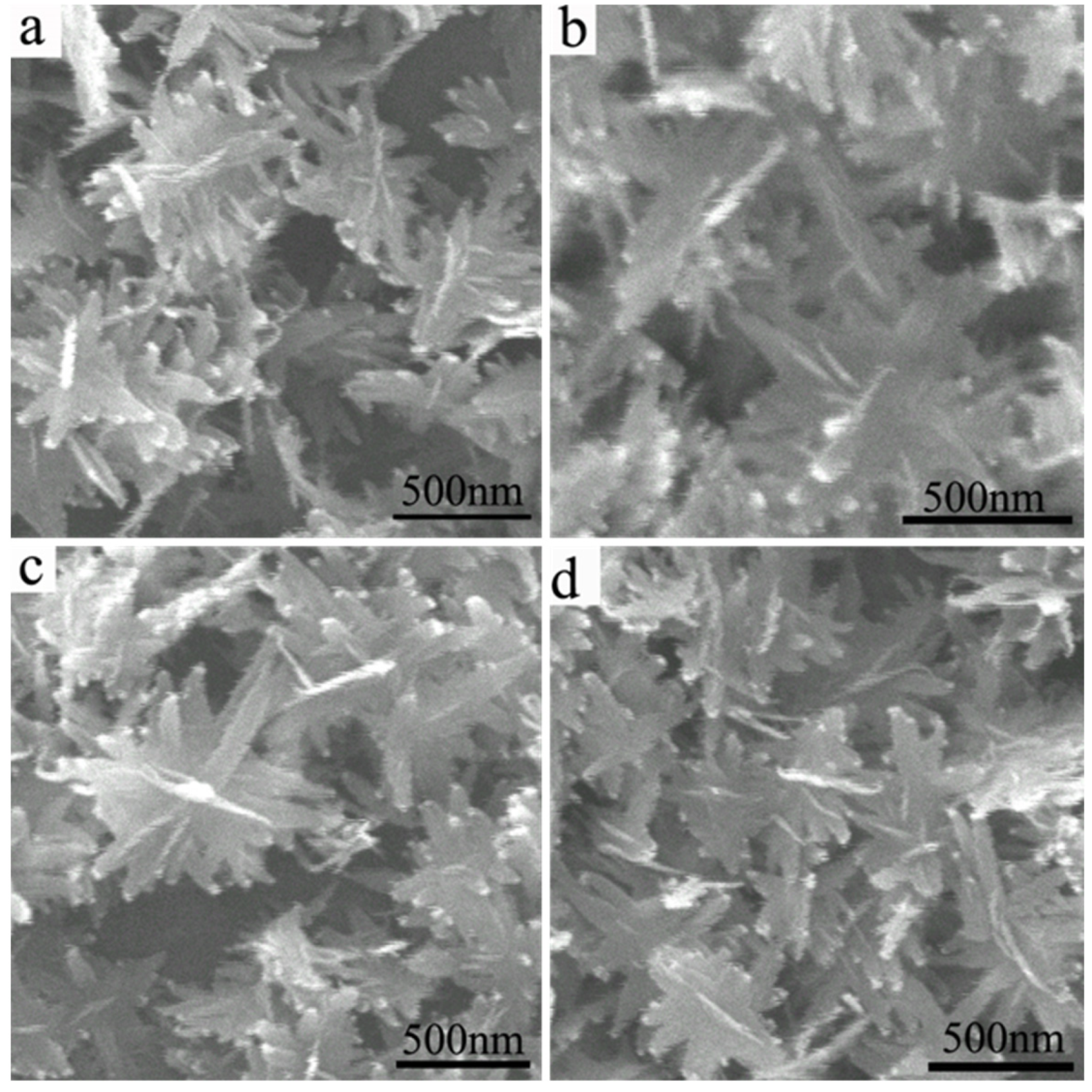 Polymers 14 05422 g003 Polymers 14 05422 g003