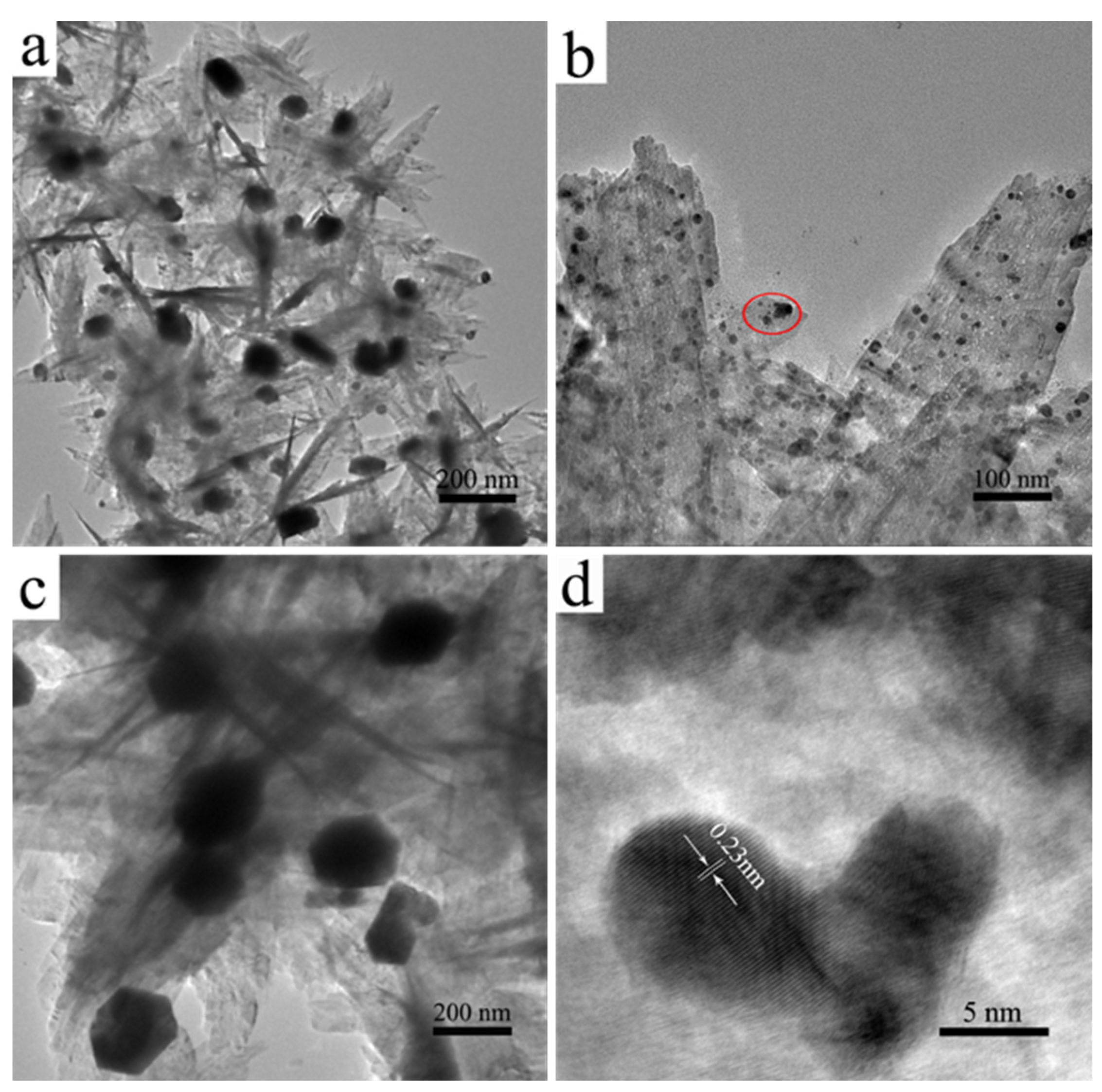 Polymers 14 05422 g005 Polymers 14 05422 g005