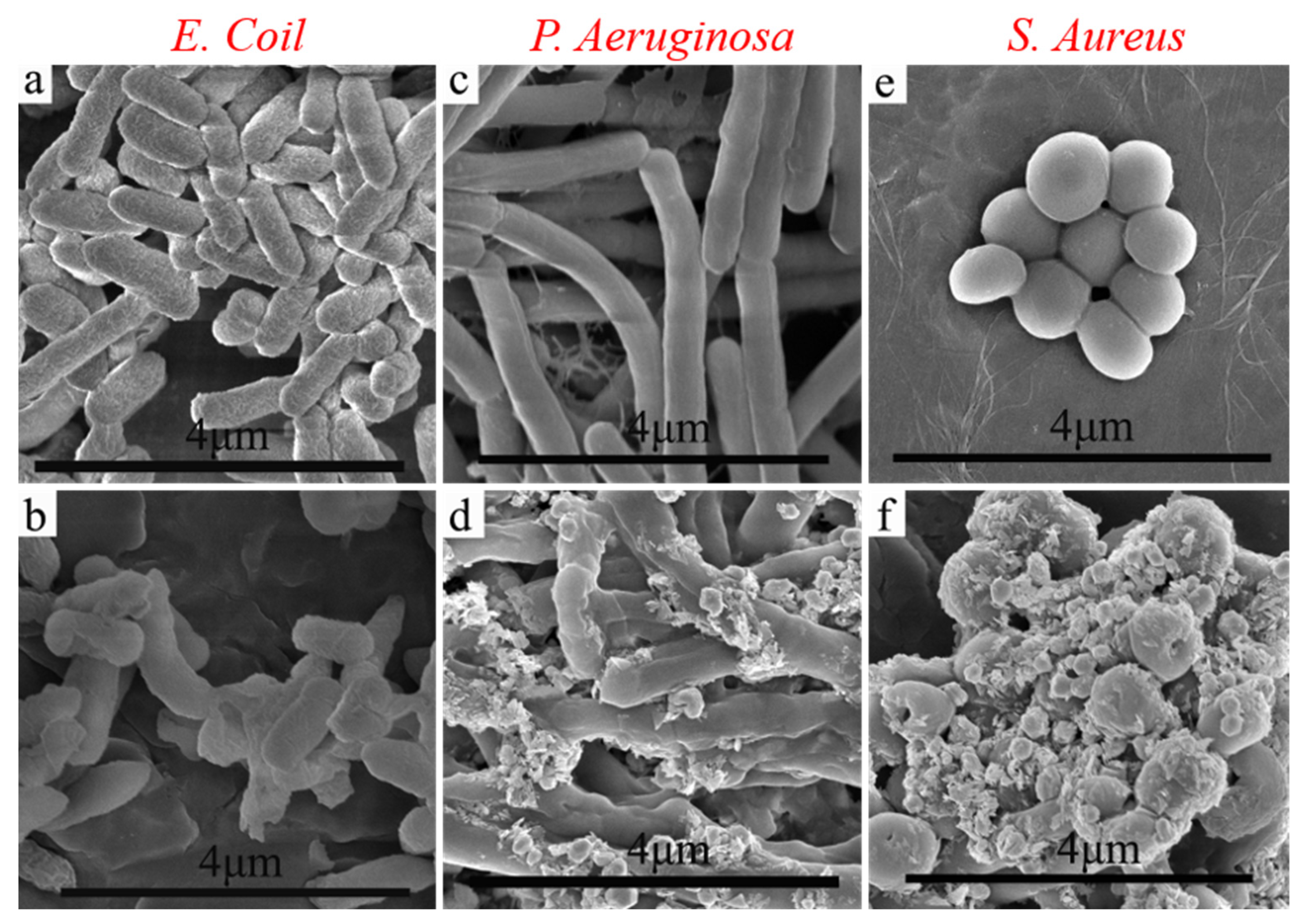 Polymers 14 05422 g007 Polymers 14 05422 g007