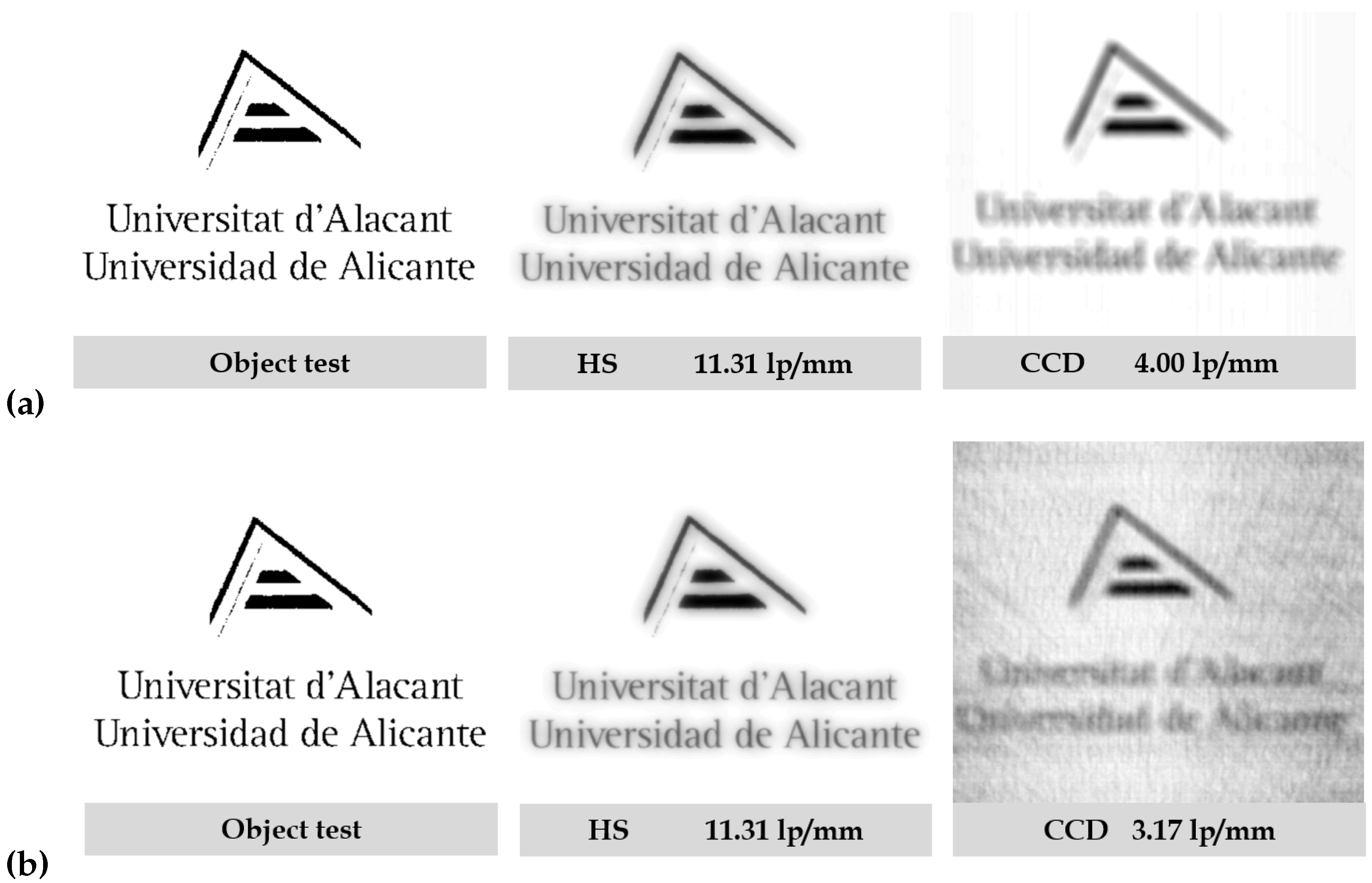 Polymers 14 05426 g008