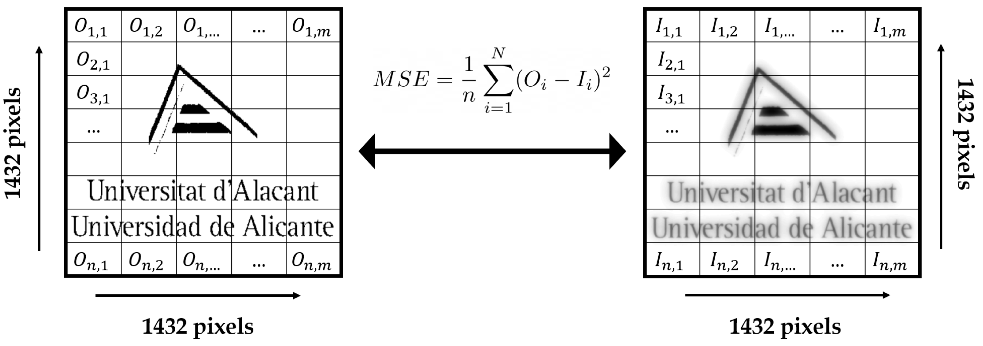 Polymers 14 05426 g009