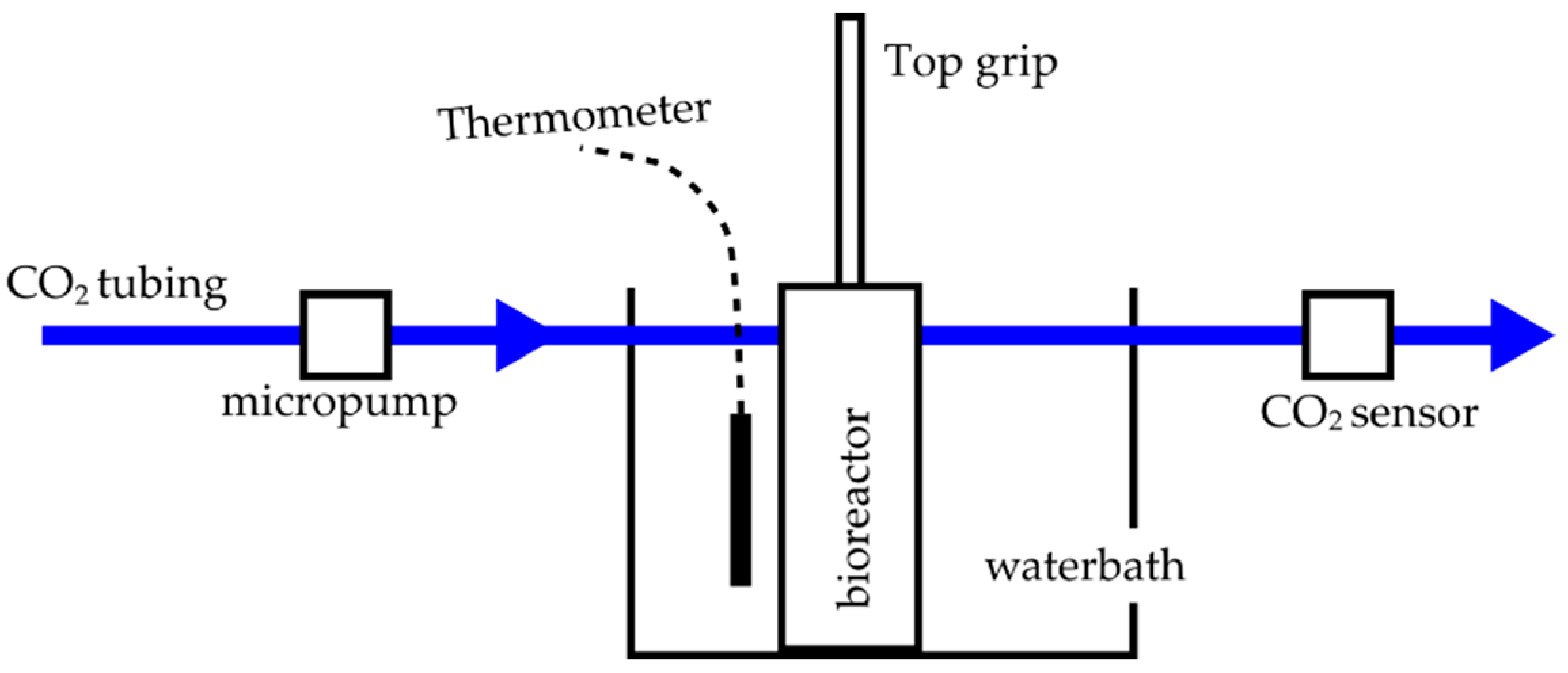 Polymers 14 05427 g001