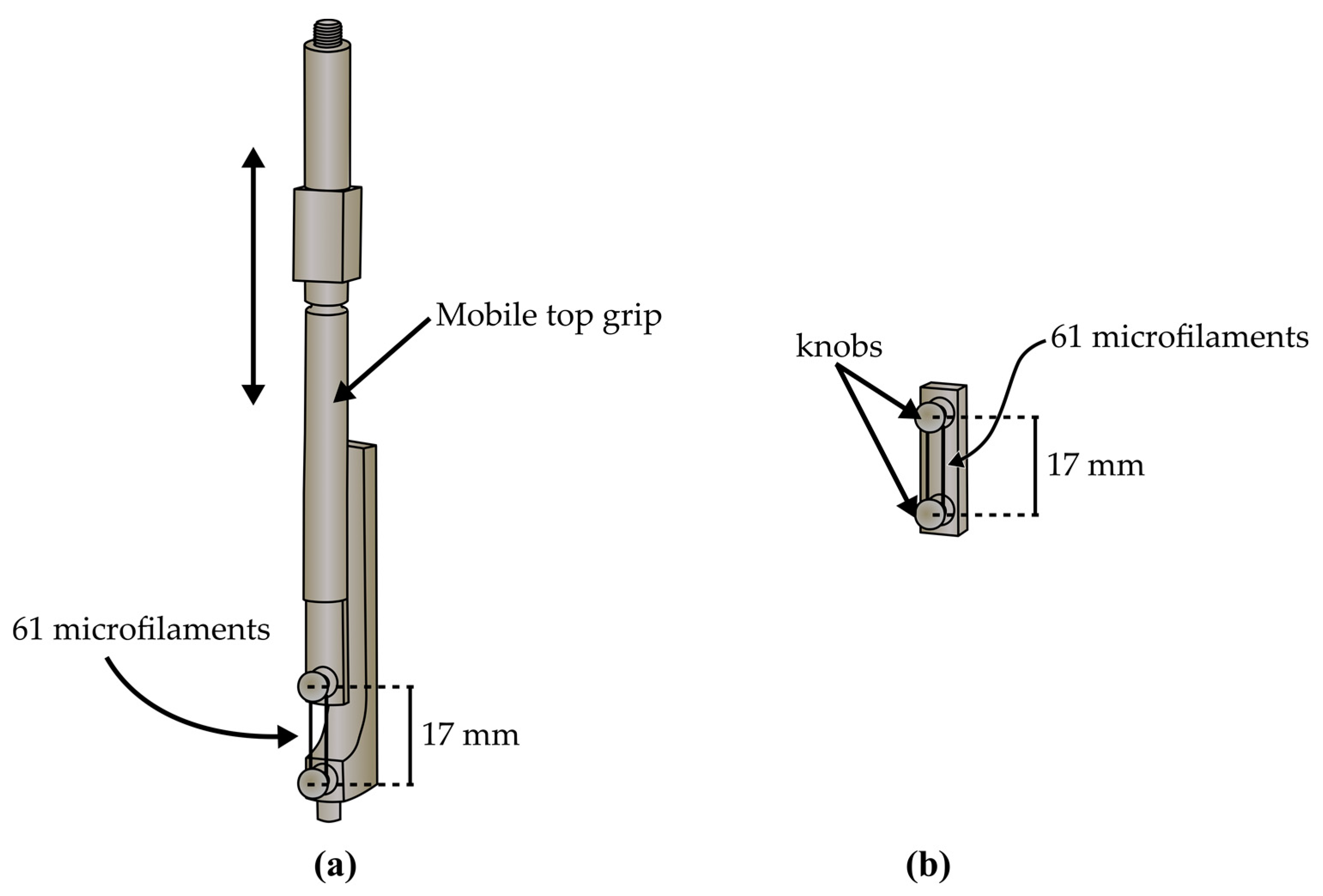Polymers 14 05427 g002