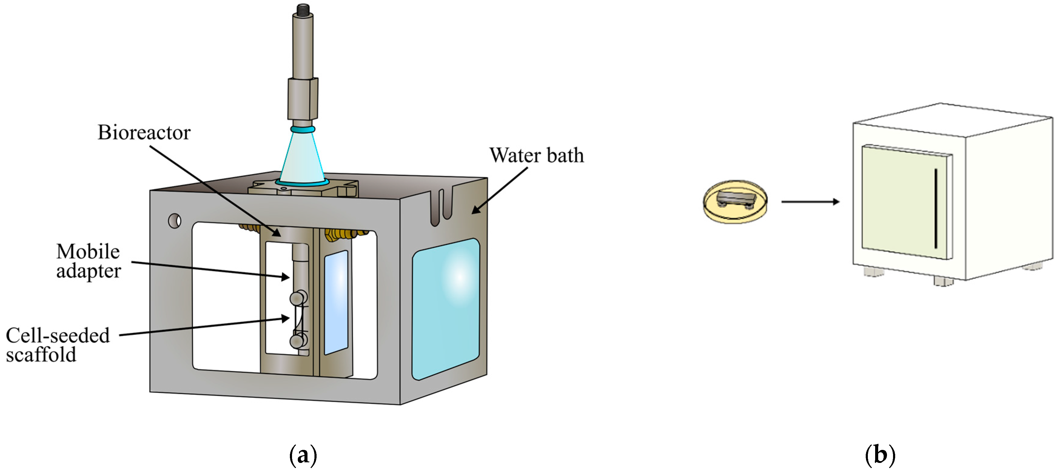 Polymers 14 05427 g004