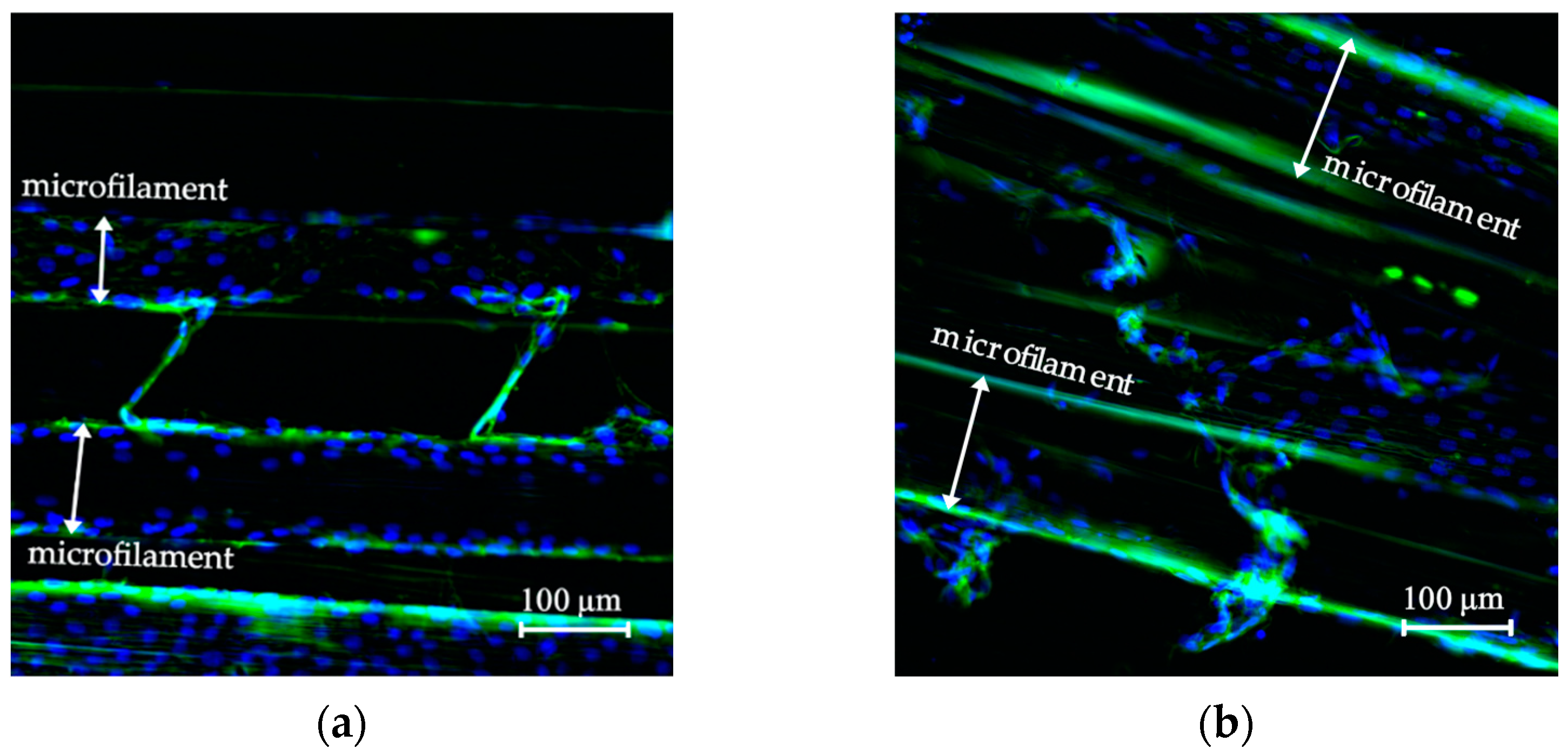 Polymers 14 05427 g008