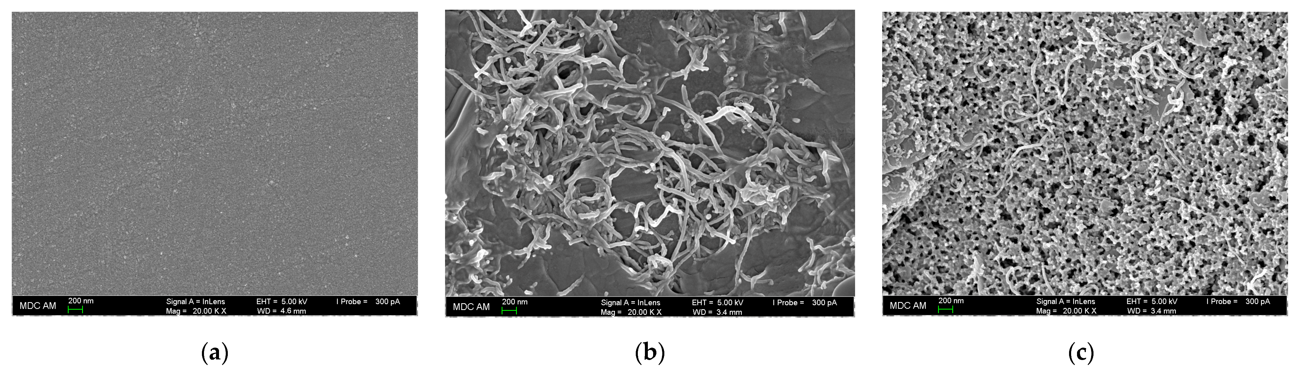 Polymers 14 05429 g006 Polymers 14 05429 g006