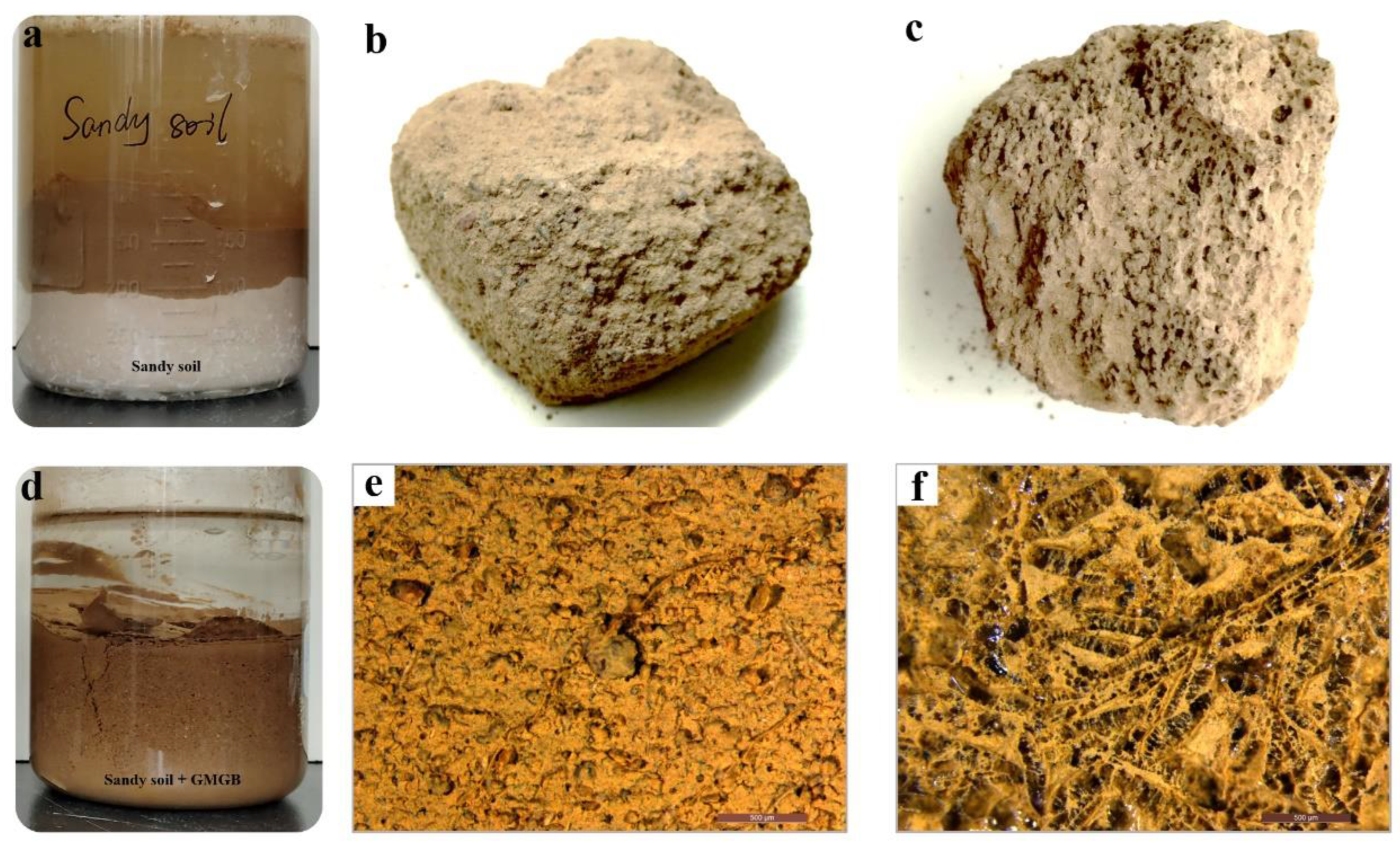 Polymers 14 05430 g004 Polymers 14 05430 g004