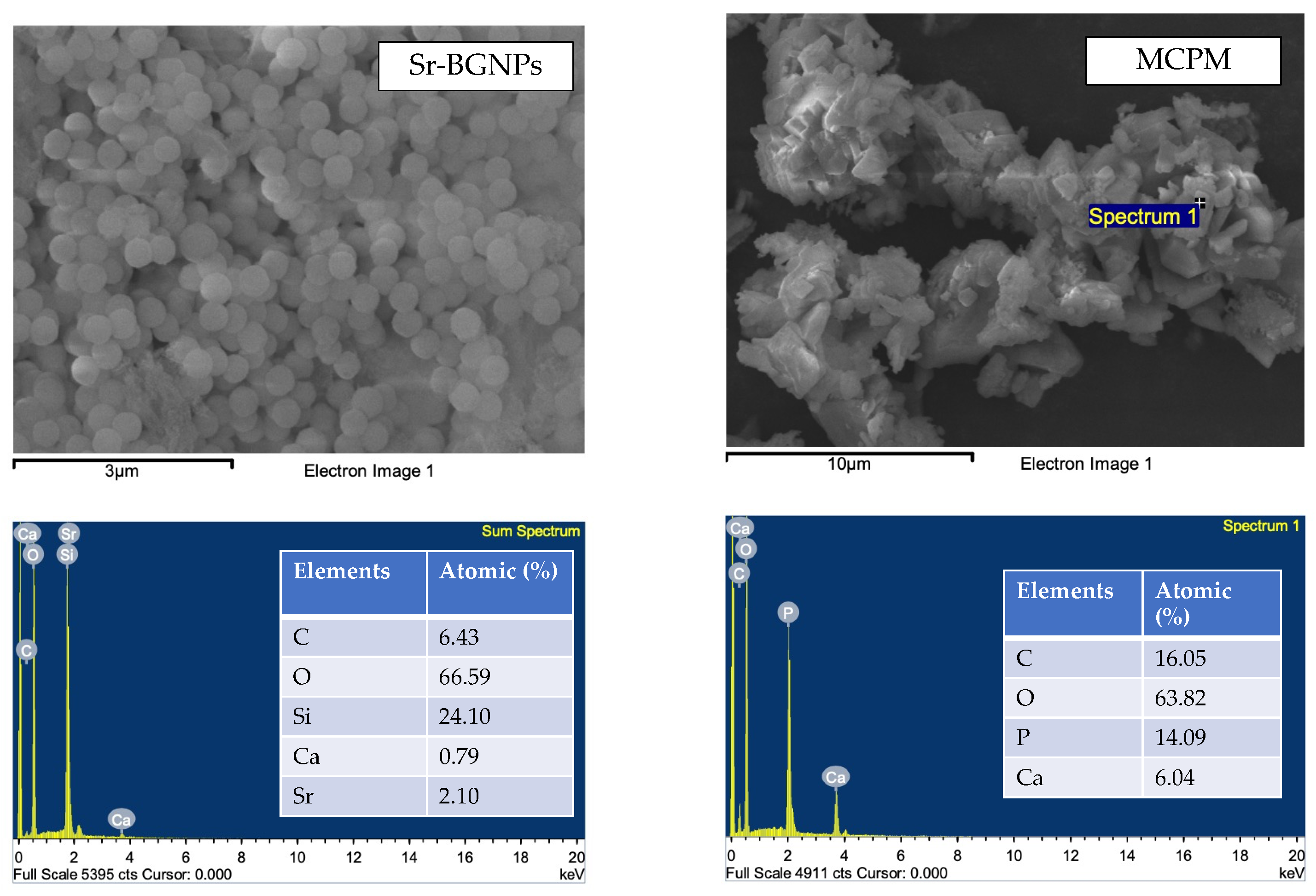 Polymers 14 05436 g001