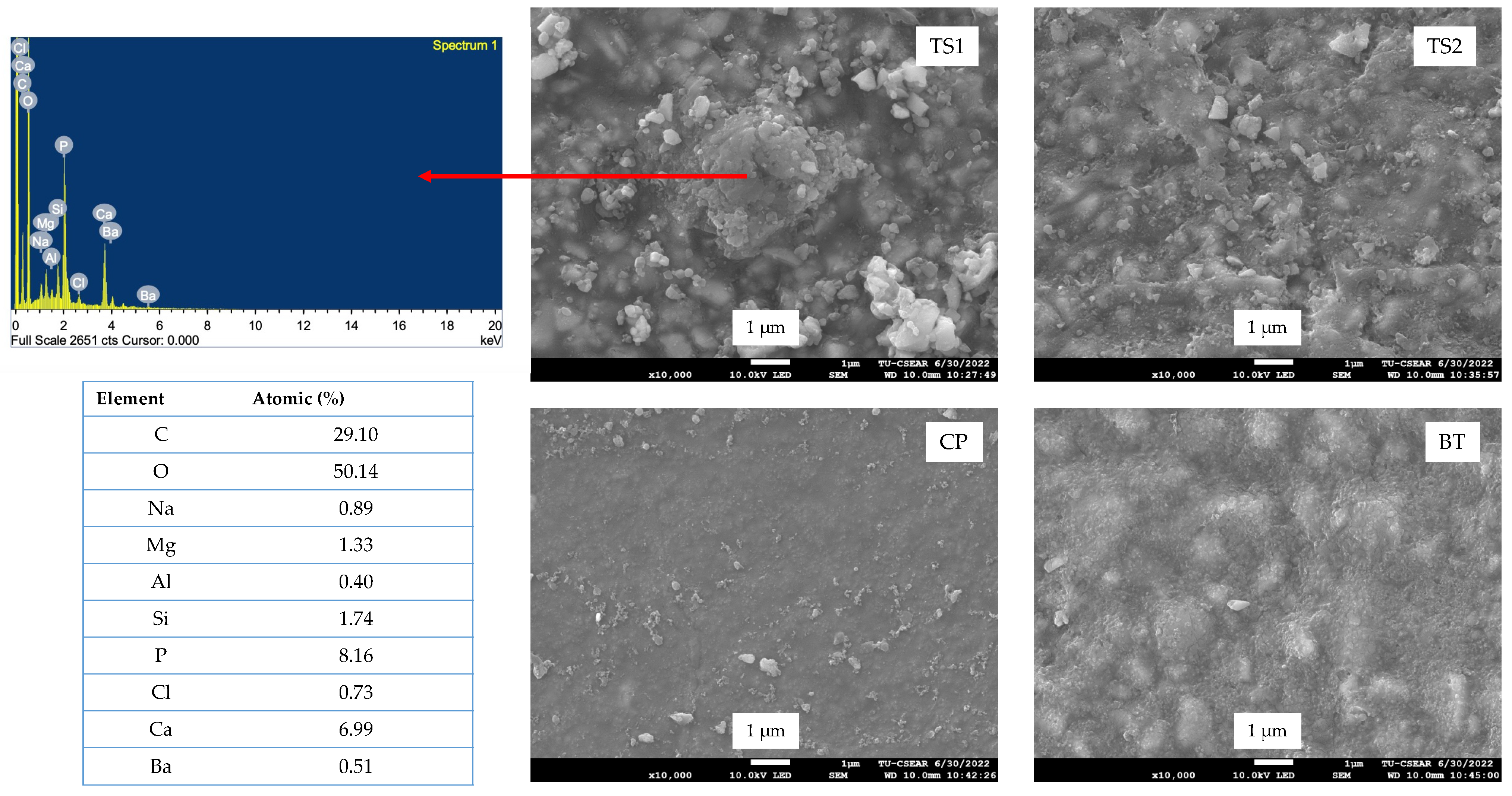 Polymers 14 05436 g006