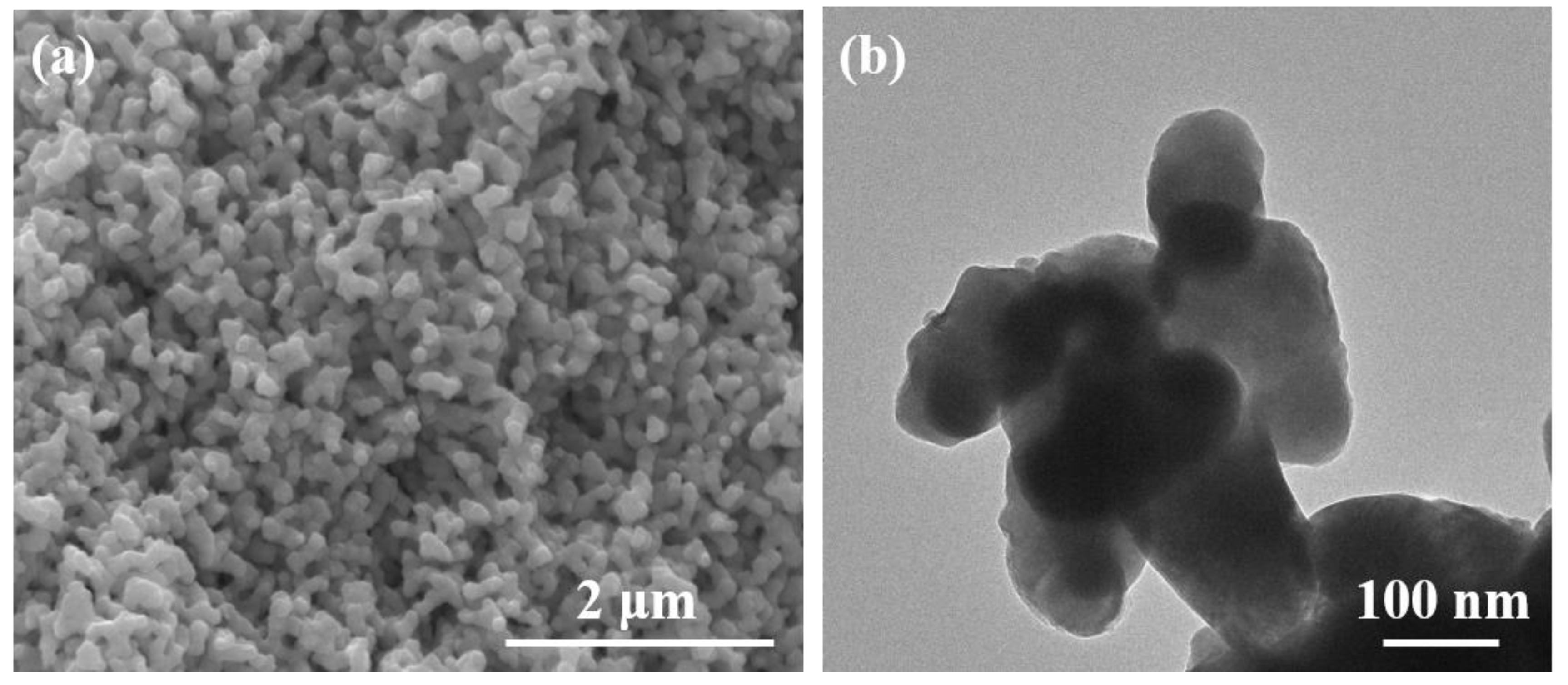 Polymers 14 05437 g002 Polymers 14 05437 g002