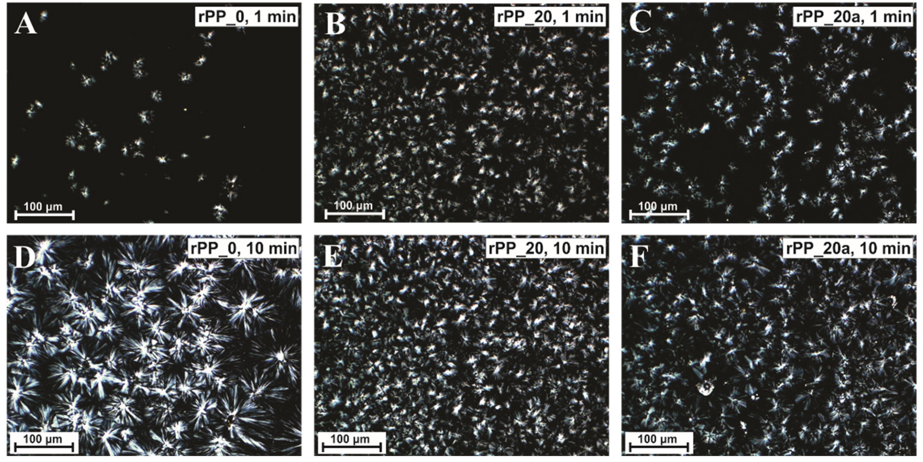 Polymers 14 05438 g002 Polymers 14 05438 g002