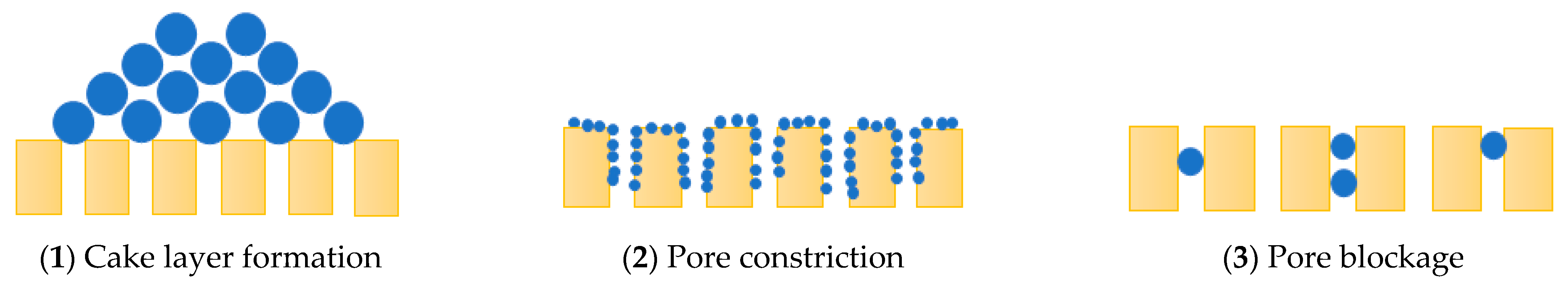 Polymers 14 05439 g003 Polymers 14 05439 g003