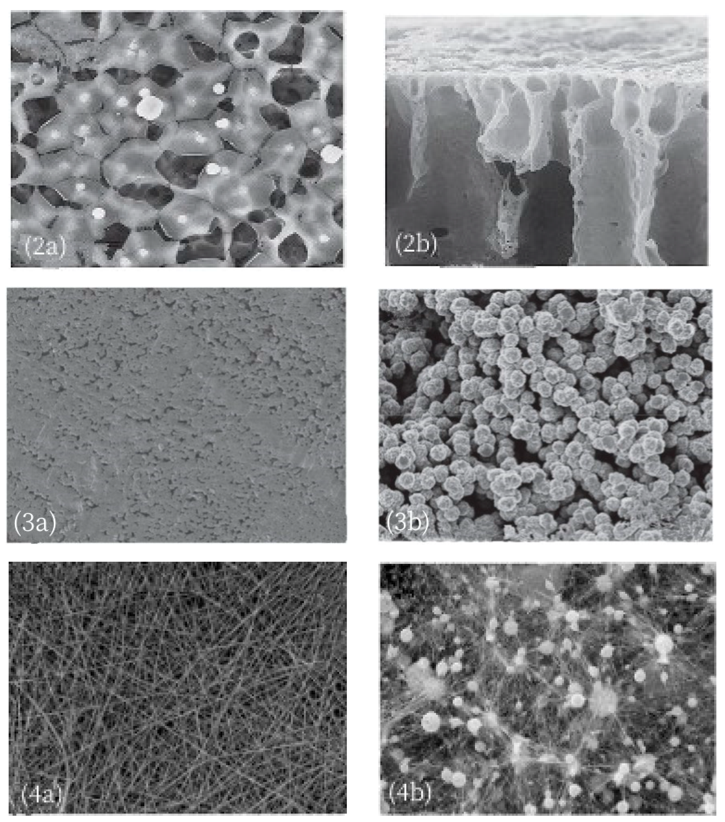 Polymers 14 05439 g011b Polymers 14 05439 g011b