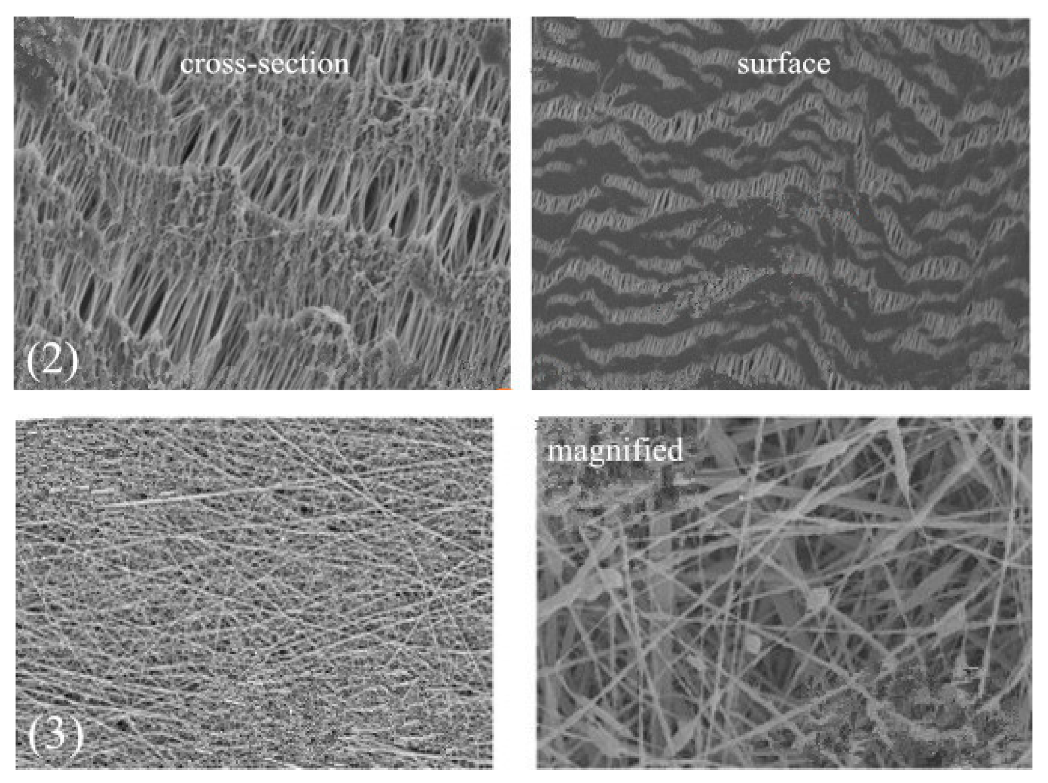 Polymers 14 05439 g013b Polymers 14 05439 g013b
