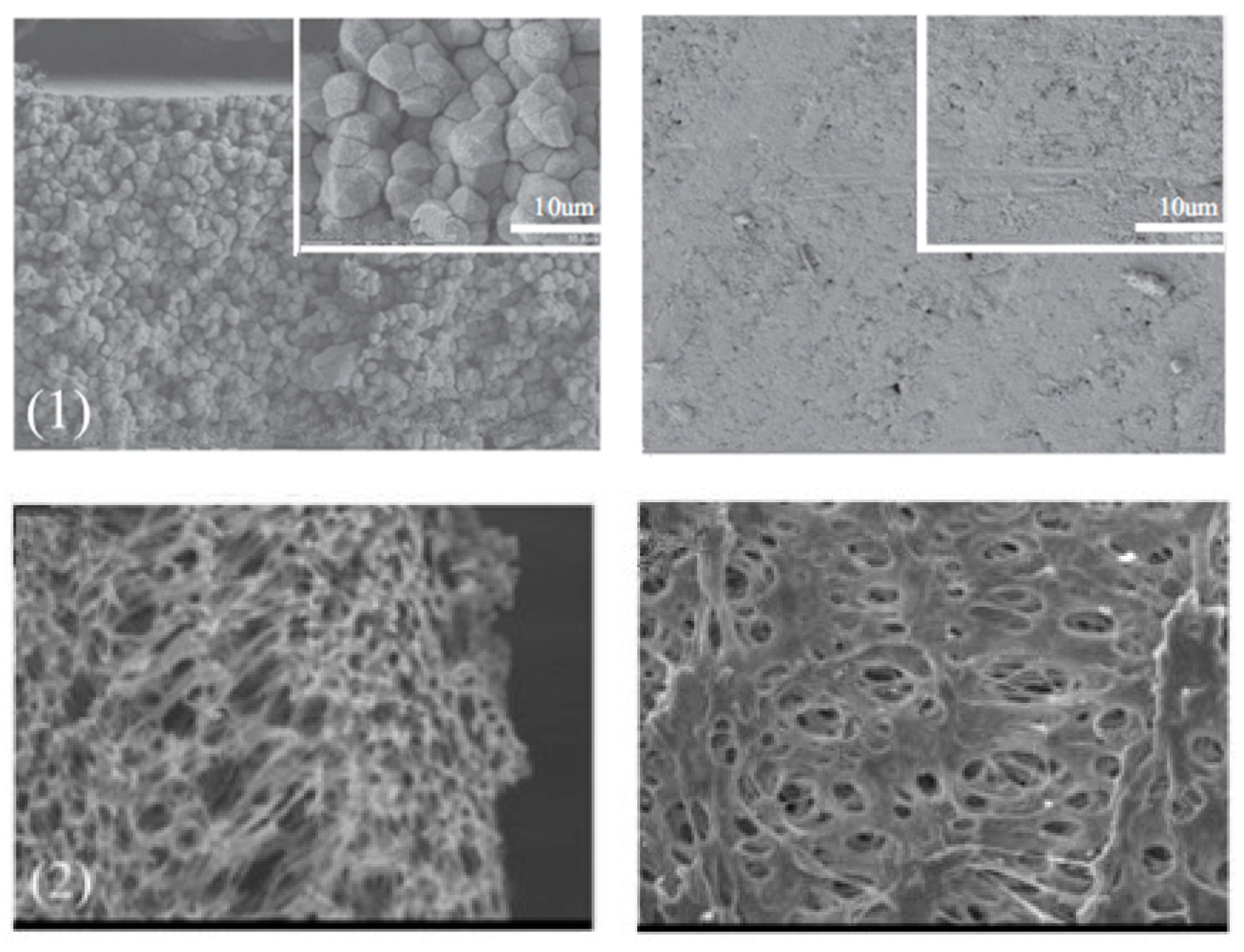 Polymers 14 05439 g014 Polymers 14 05439 g014
