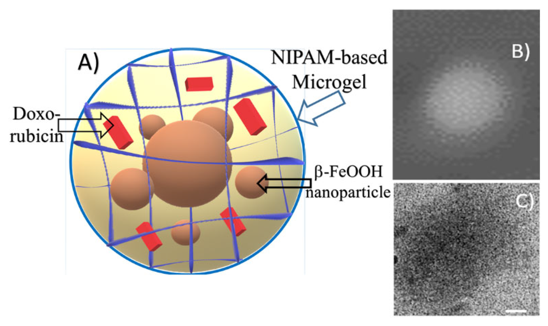 Polymers 14 05440 g008