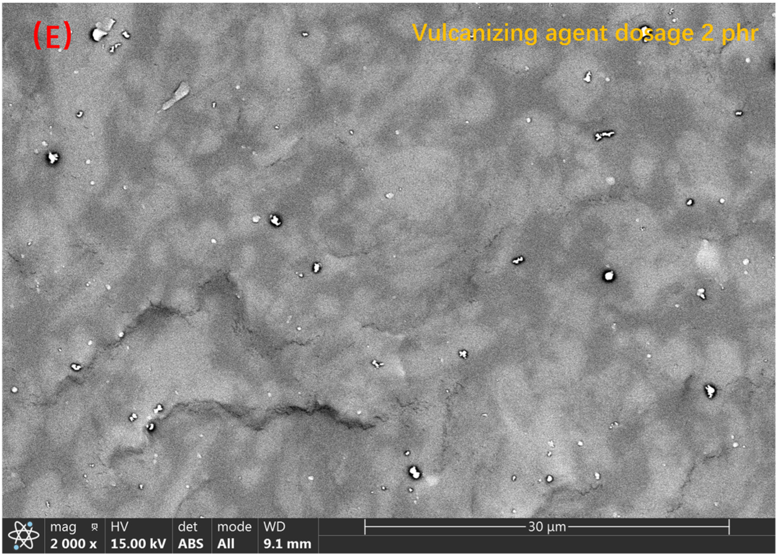 Polymers 14 05443 g005c Polymers 14 05443 g005c