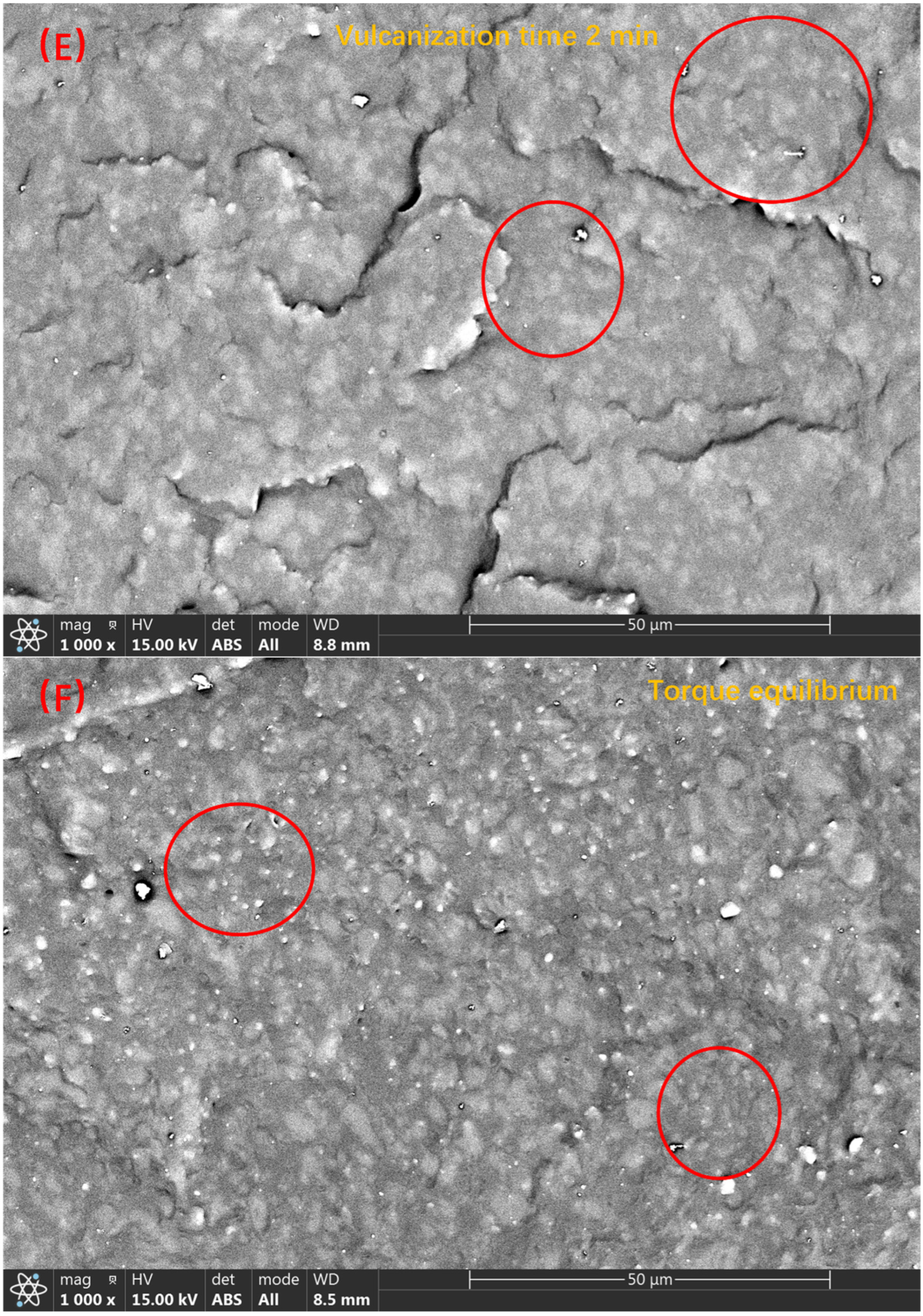 Polymers 14 05443 g006c Polymers 14 05443 g006c