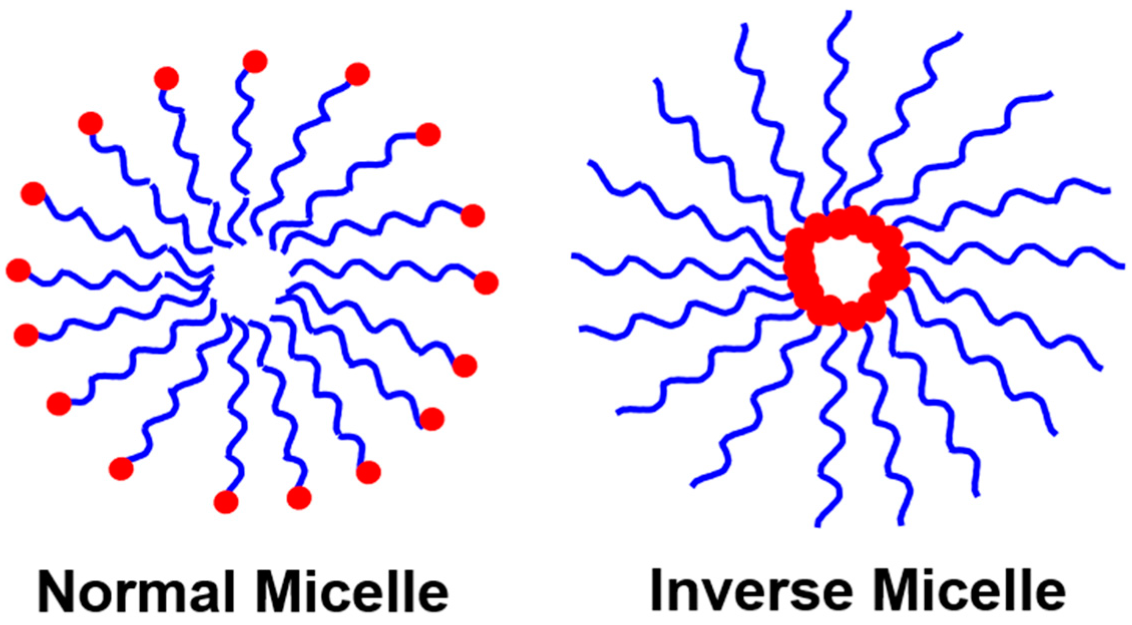 Polymers 14 05449 g001 Polymers 14 05449 g001